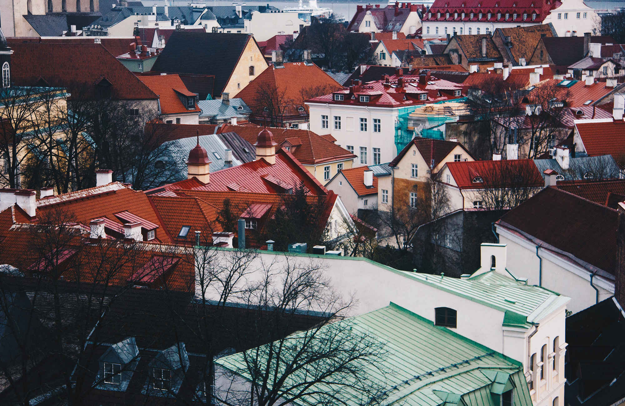 se de fine huse på jeres studietur i tallinn