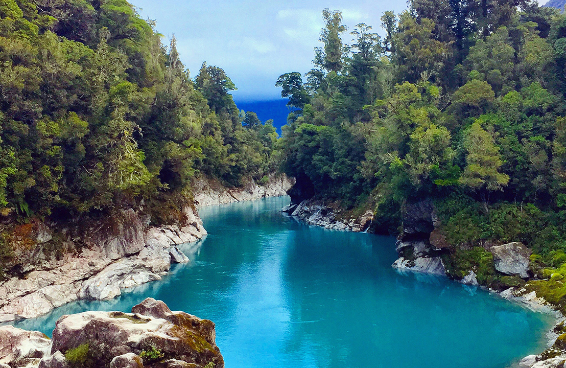 smuk natur og blåt vand i new zealand hvor du kan studere