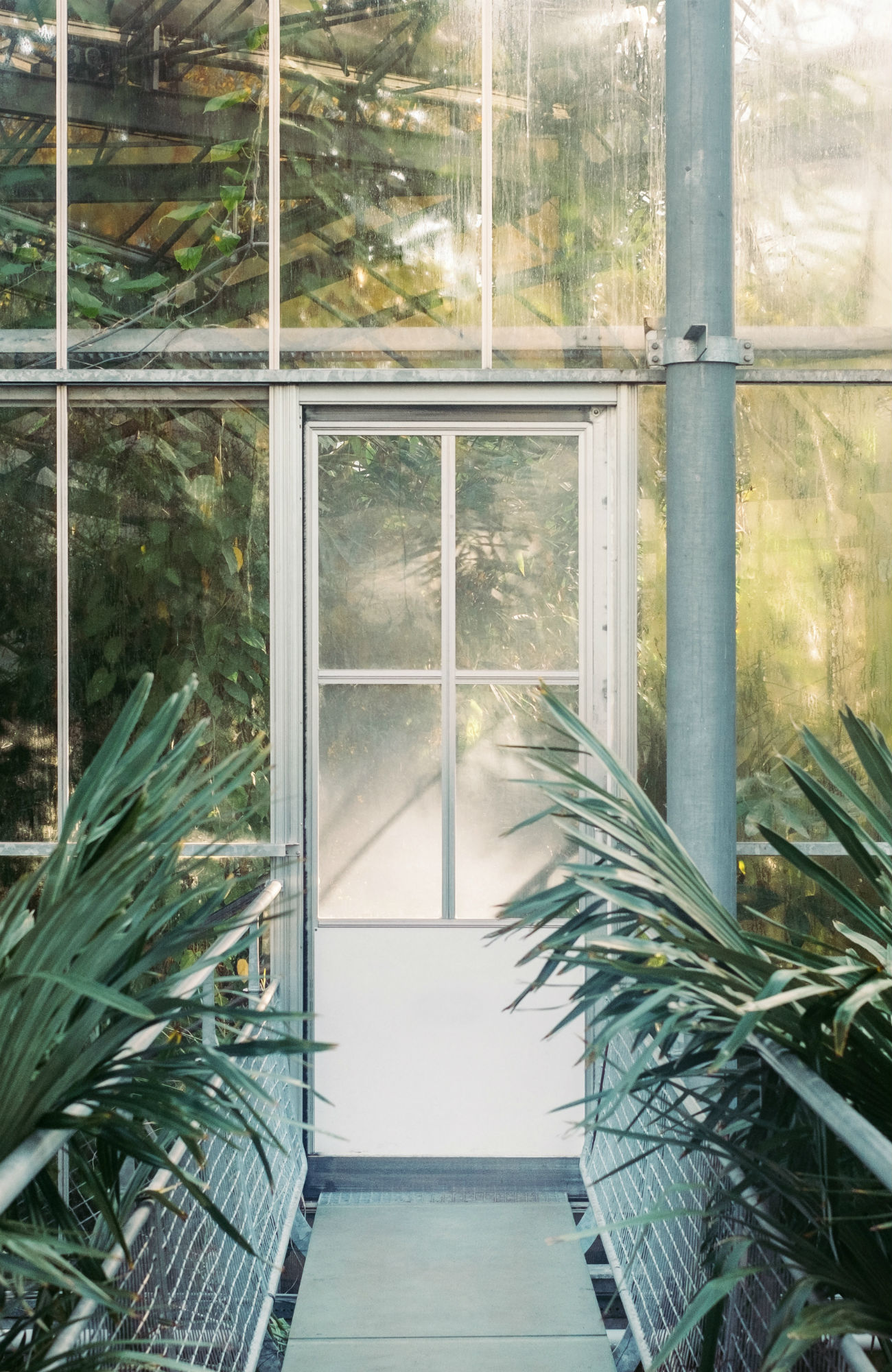 biologi uddannelse i udlandet