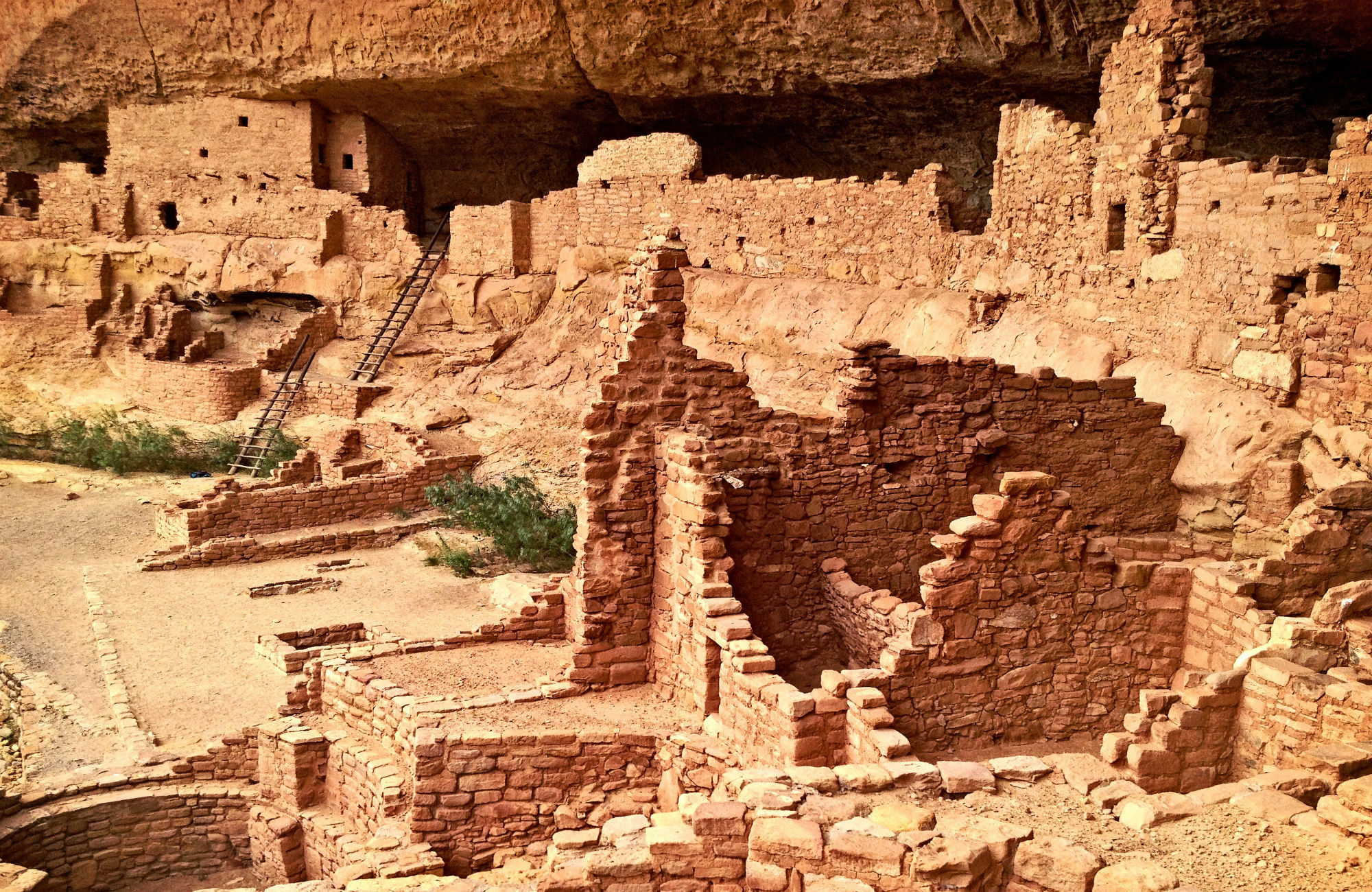 uddannelse til arkæolog i udlandet