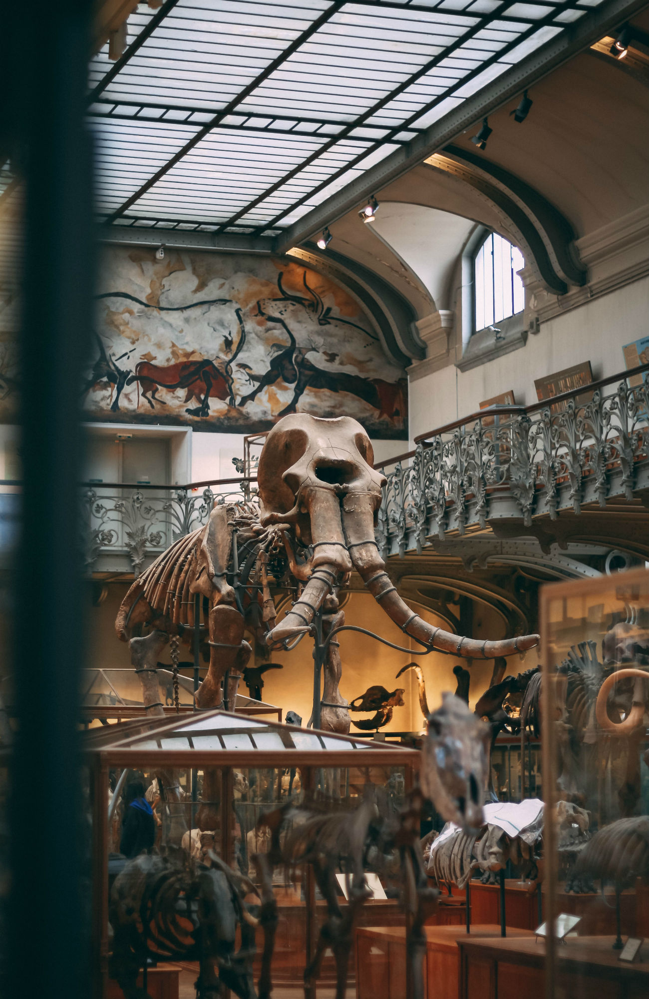 studere arkæologi i udlandet