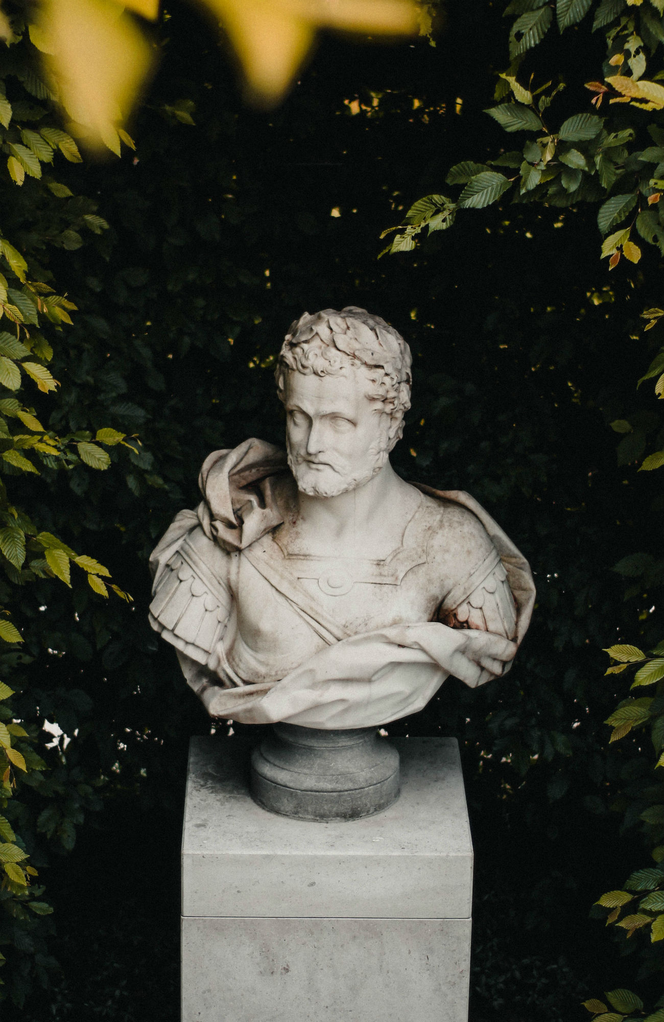 studere litteraturvidenskab i udlandet