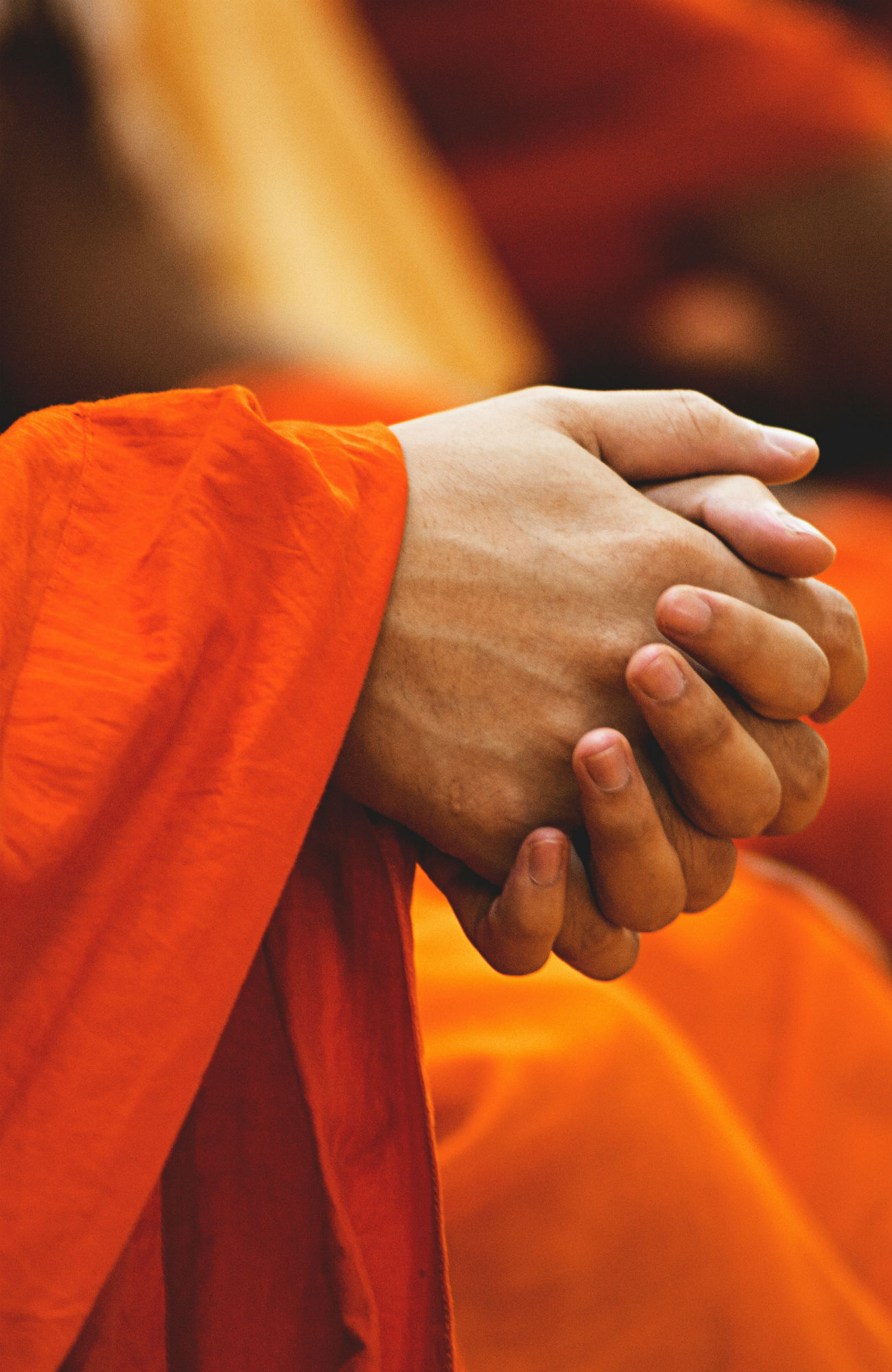 studere religionsvidenskab i udlandet