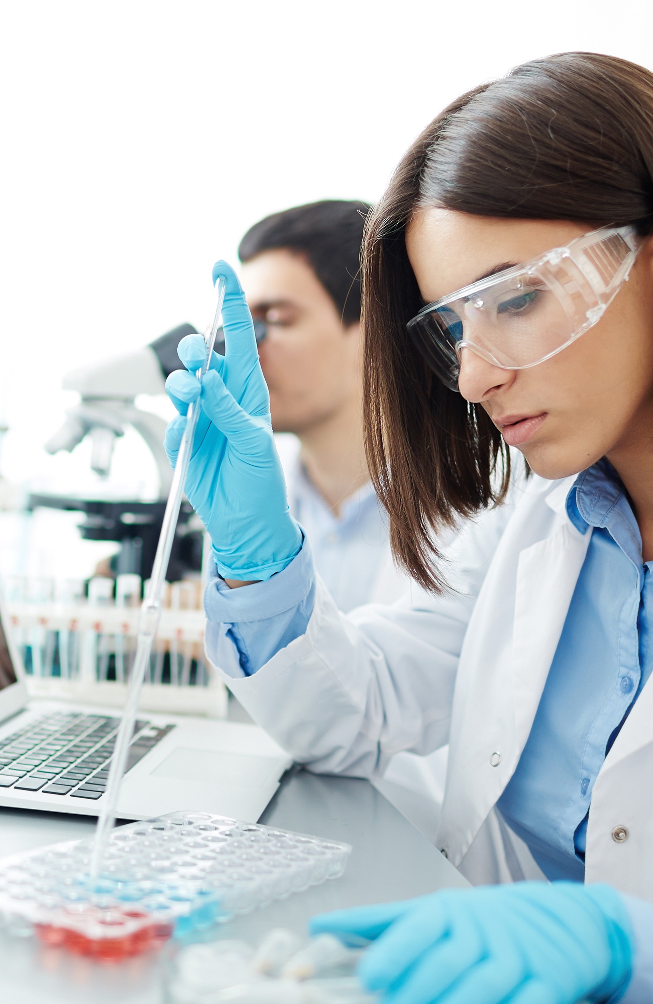 to studerende studerer til farmakologer i udlandet