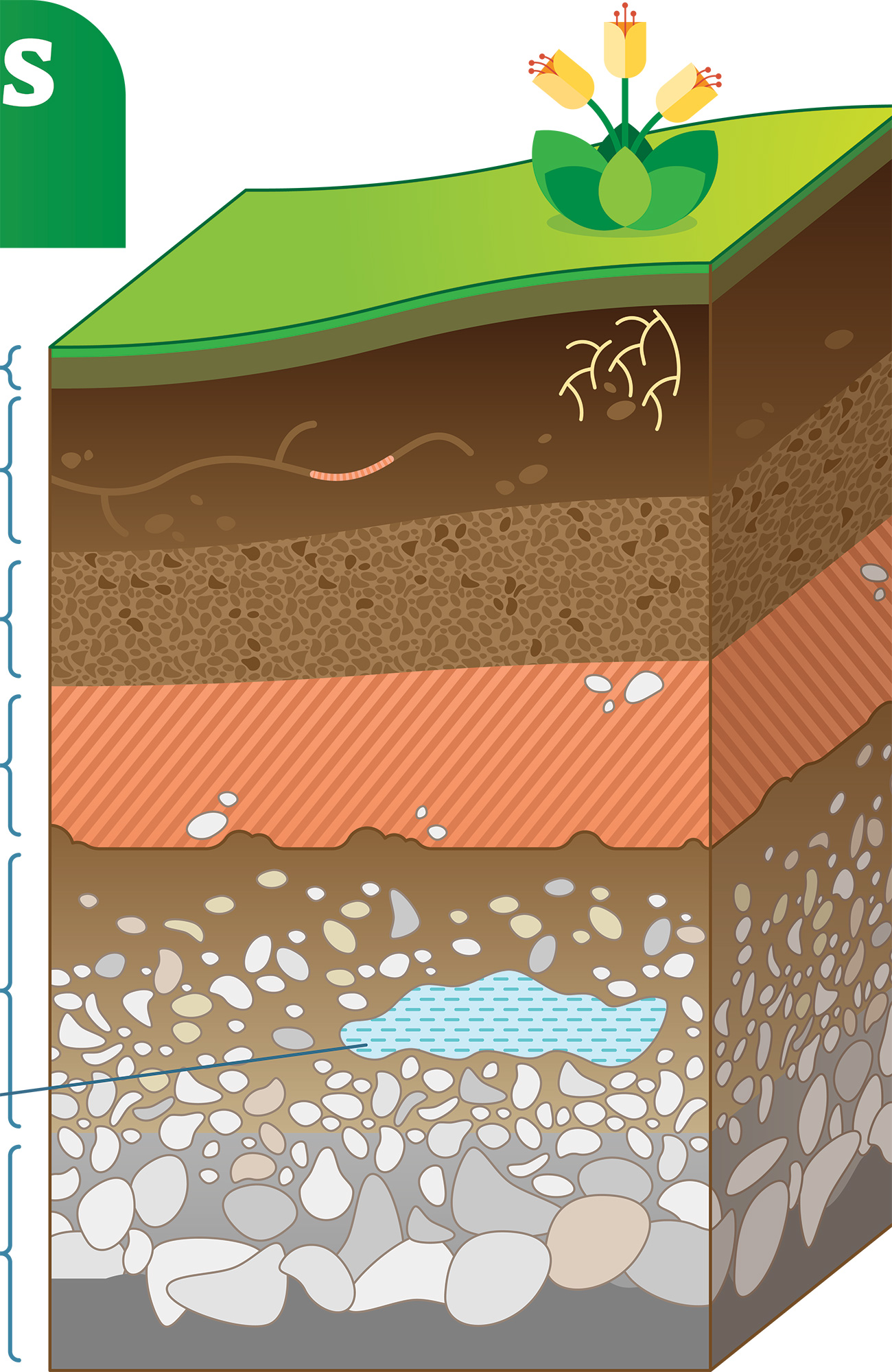 de forskellige lag i jorden på dit geologi studie i udlandet
