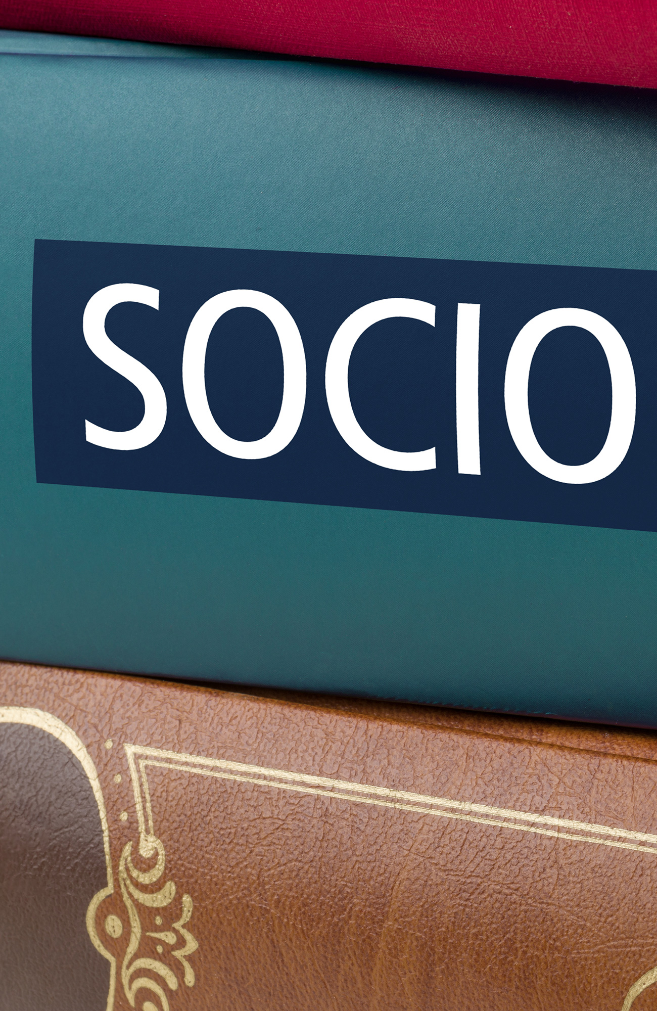 sociologi uddannelse i udlandet