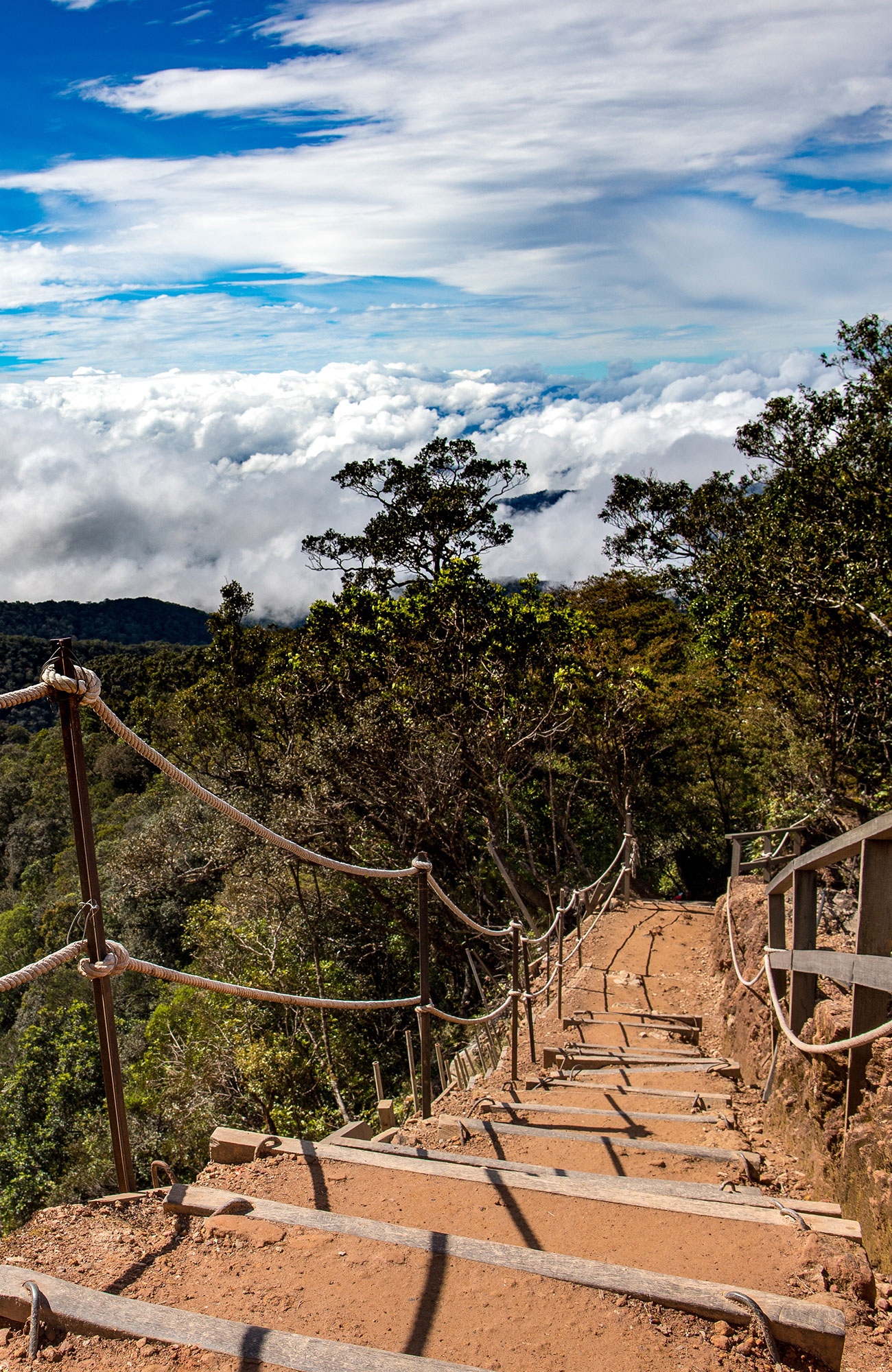 Trekking i Malaysia | Trekking på Borneo | KILROY
