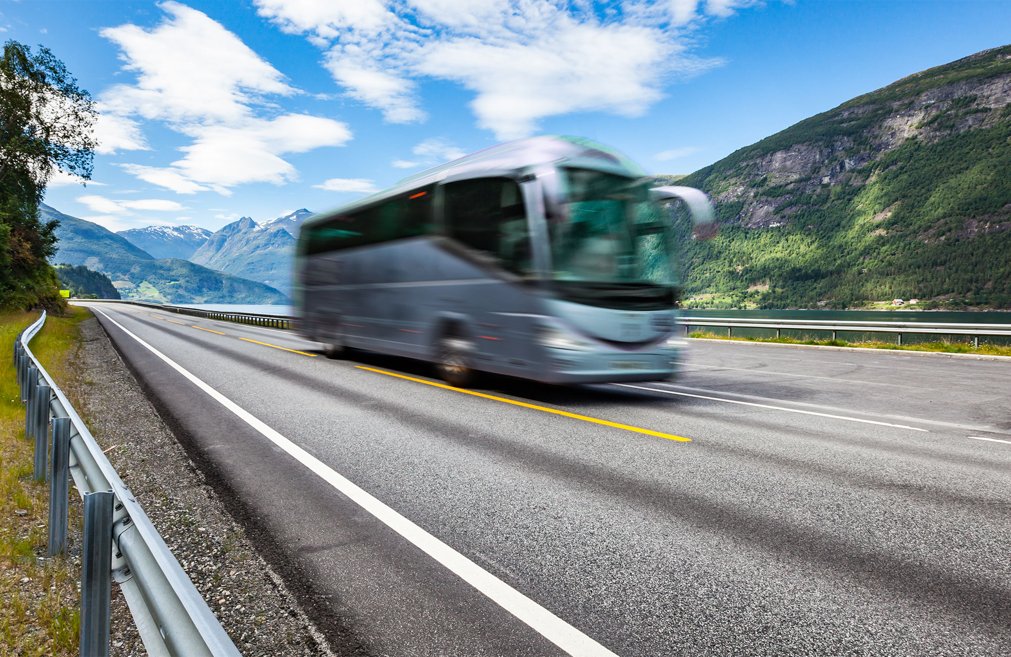 Busrejser i New Zealand