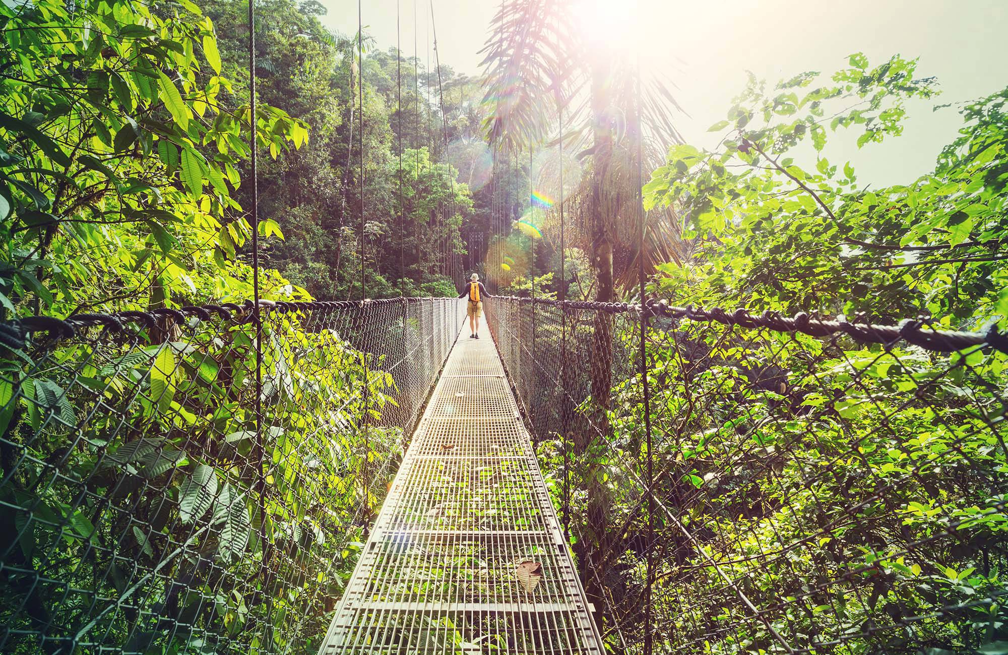 Jungletrekking i Monteverde er en stor oplevelse i Costa Rica