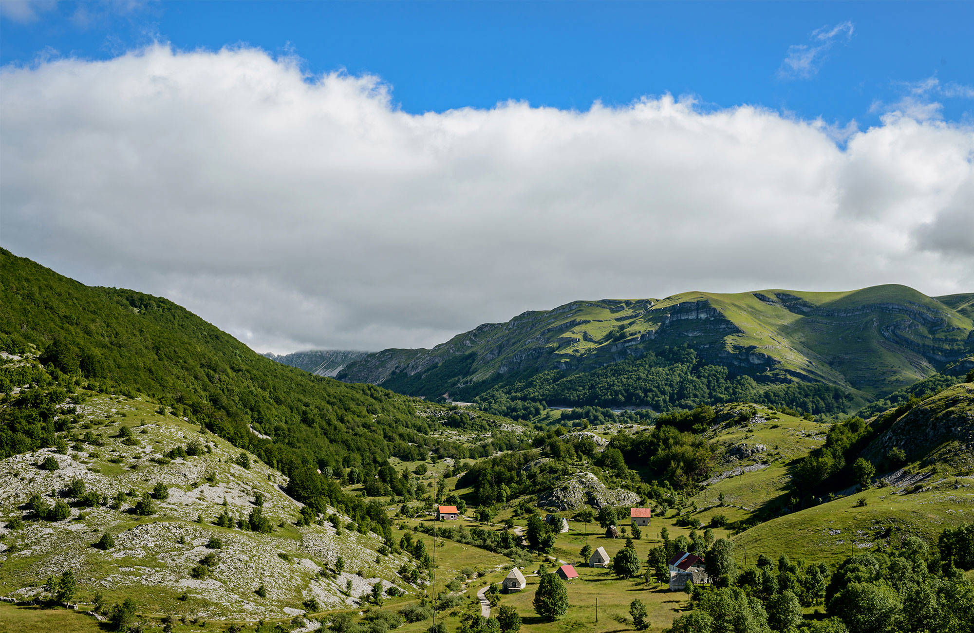 Oplev Lovćen National Park på rejsen til Montenegro