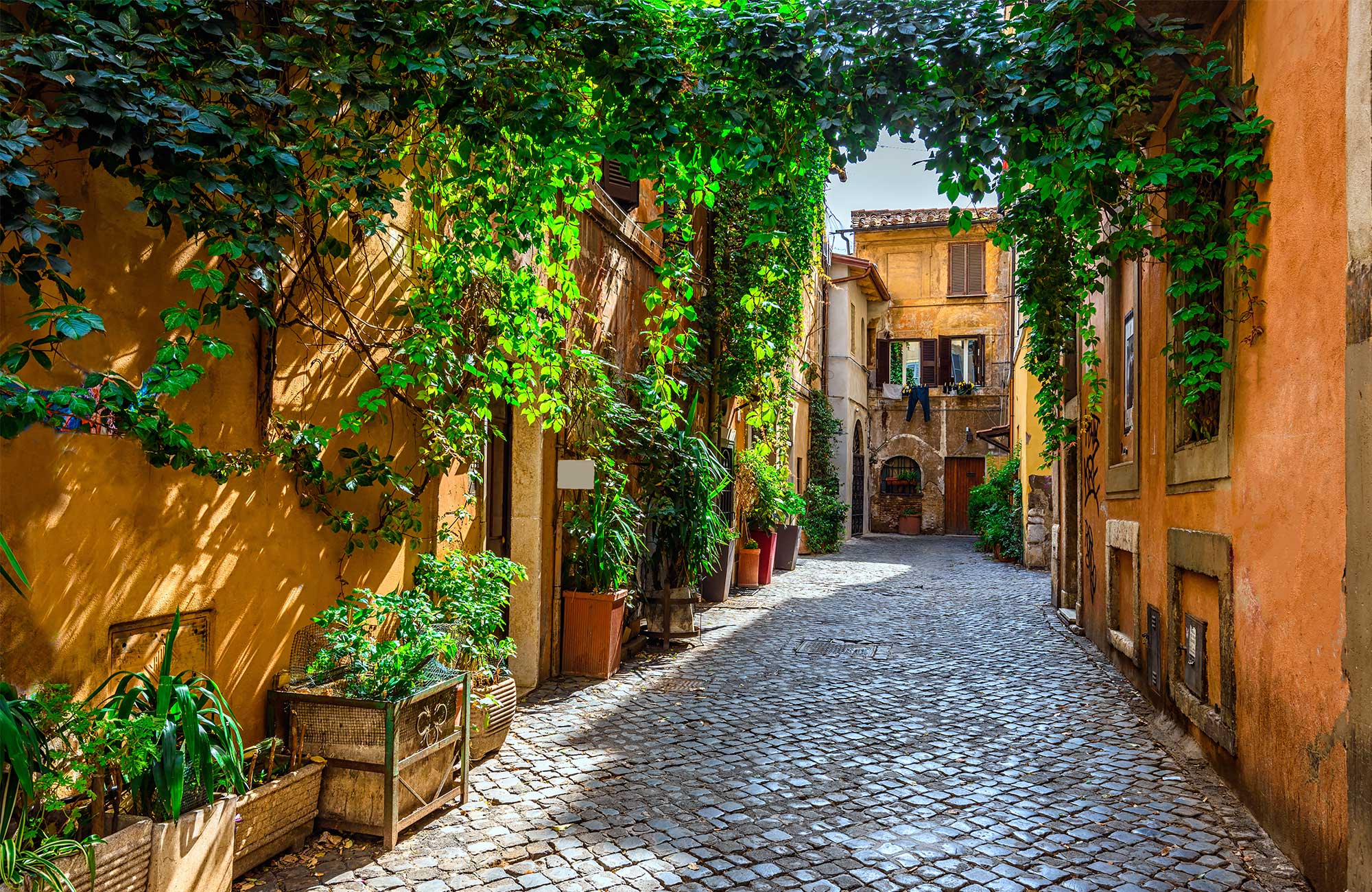 gå i travestere på jeres studietur til rom