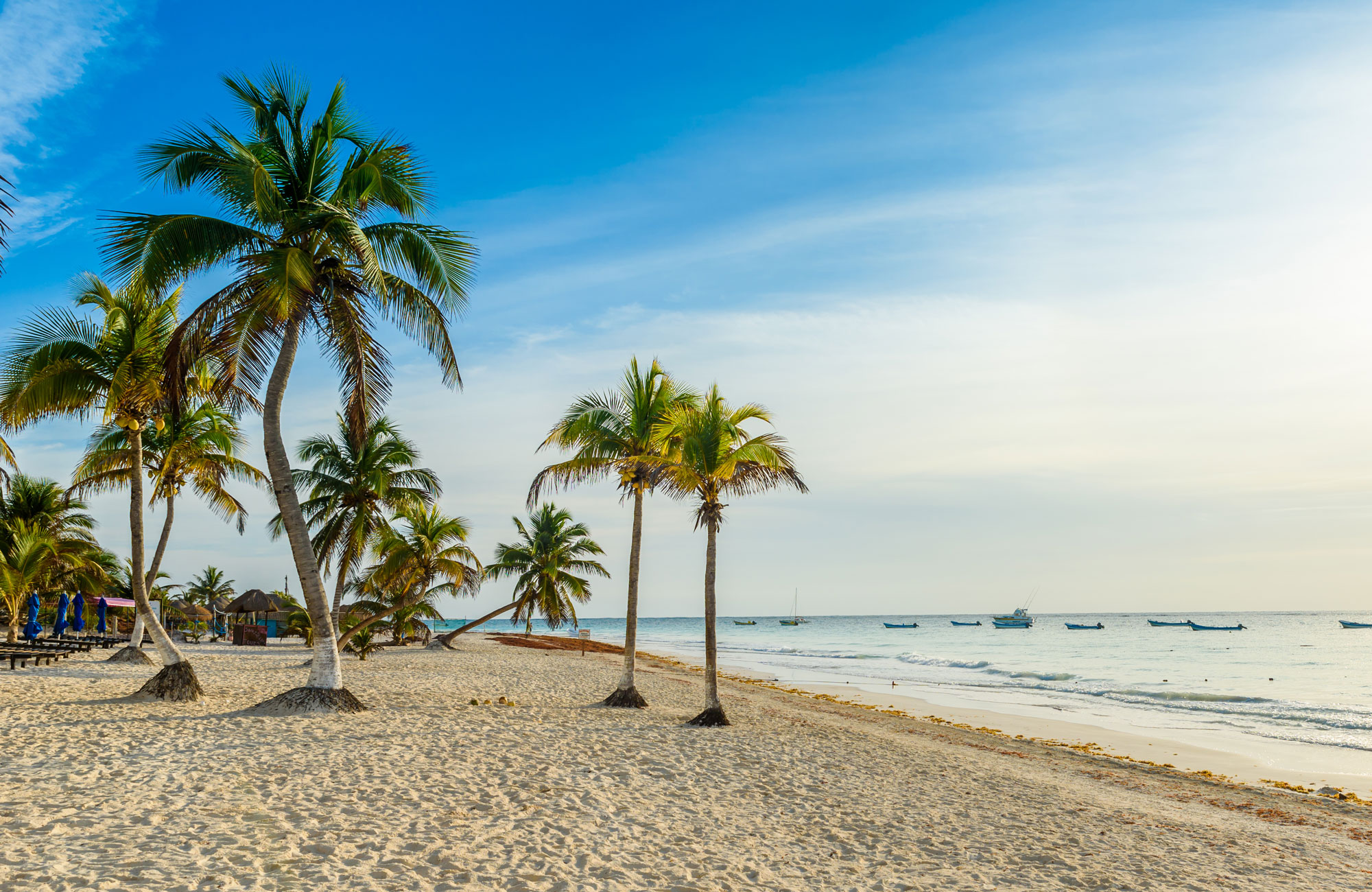 Mexico-Tulum-Beach-Palms-cover