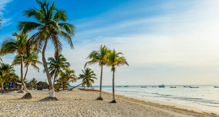 Mexico-Tulum-Beach-Palms-cover