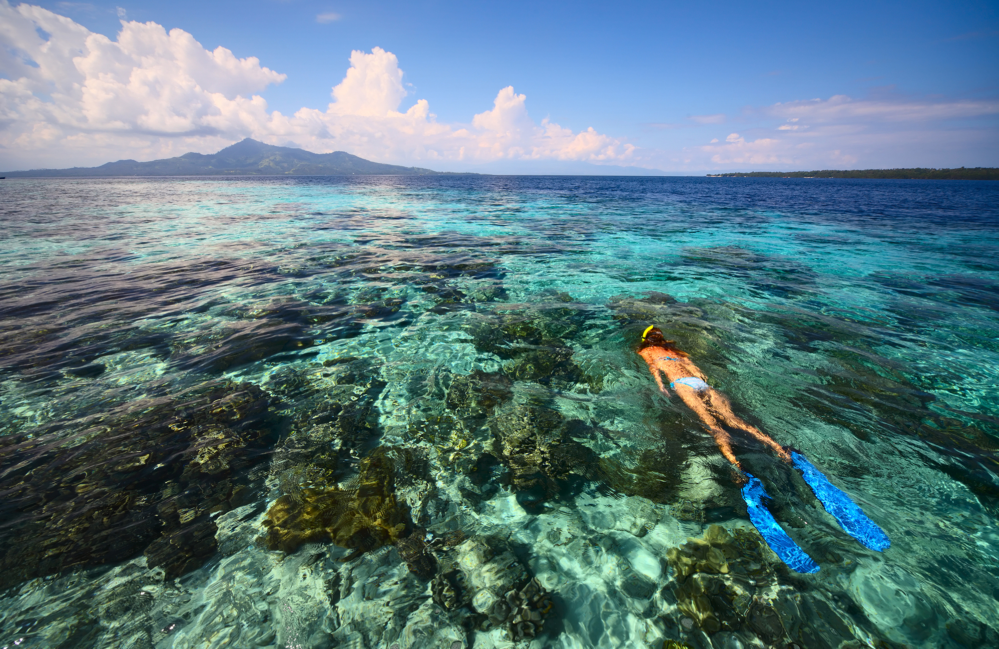 Girl with blue flippers snorkelling on the shores of Sulawesi in Indonesia