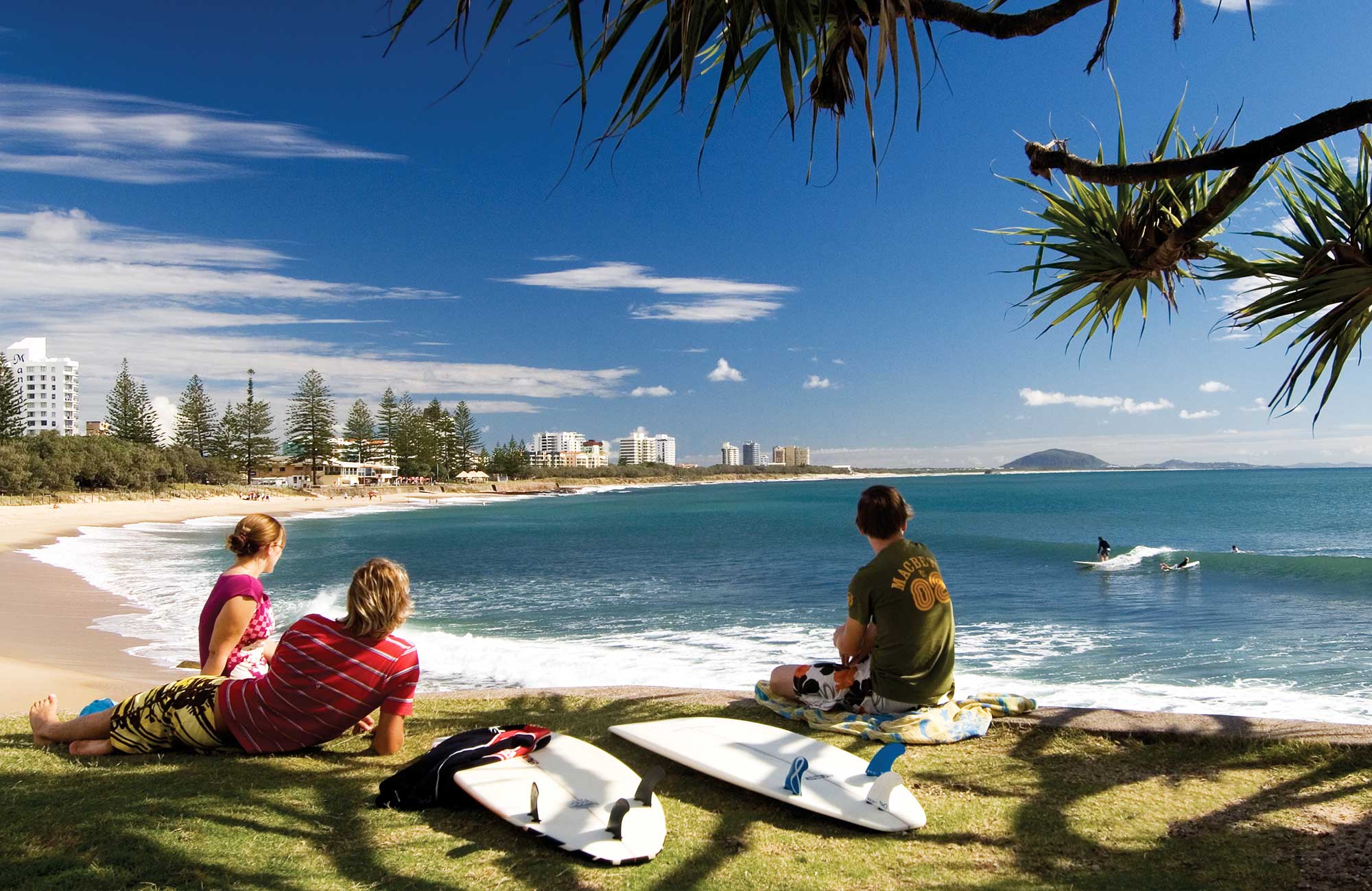 tre studerende slapper af under en palme i Brisbane i Australien