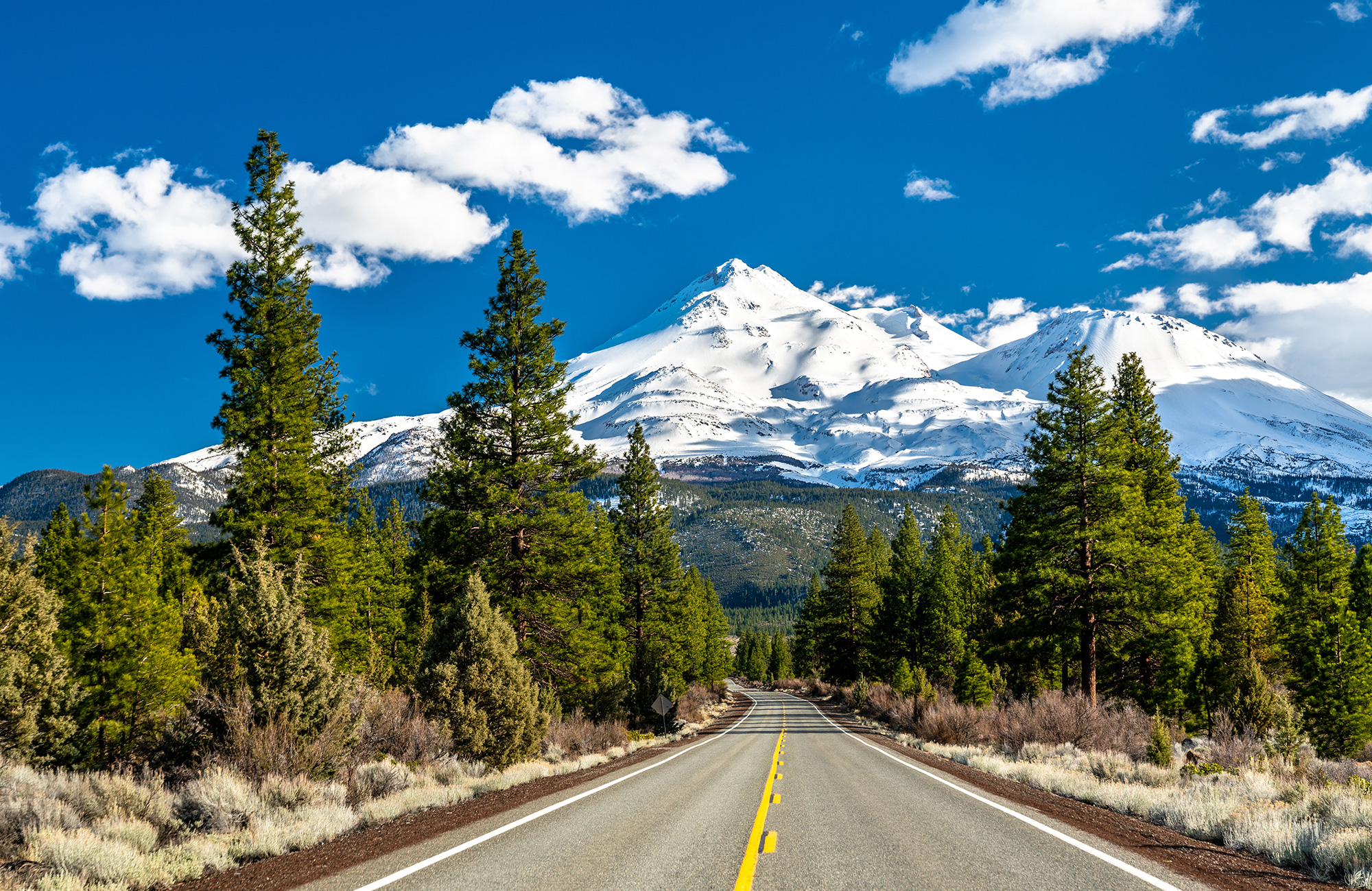 Kuga fra Travellers Autobarn