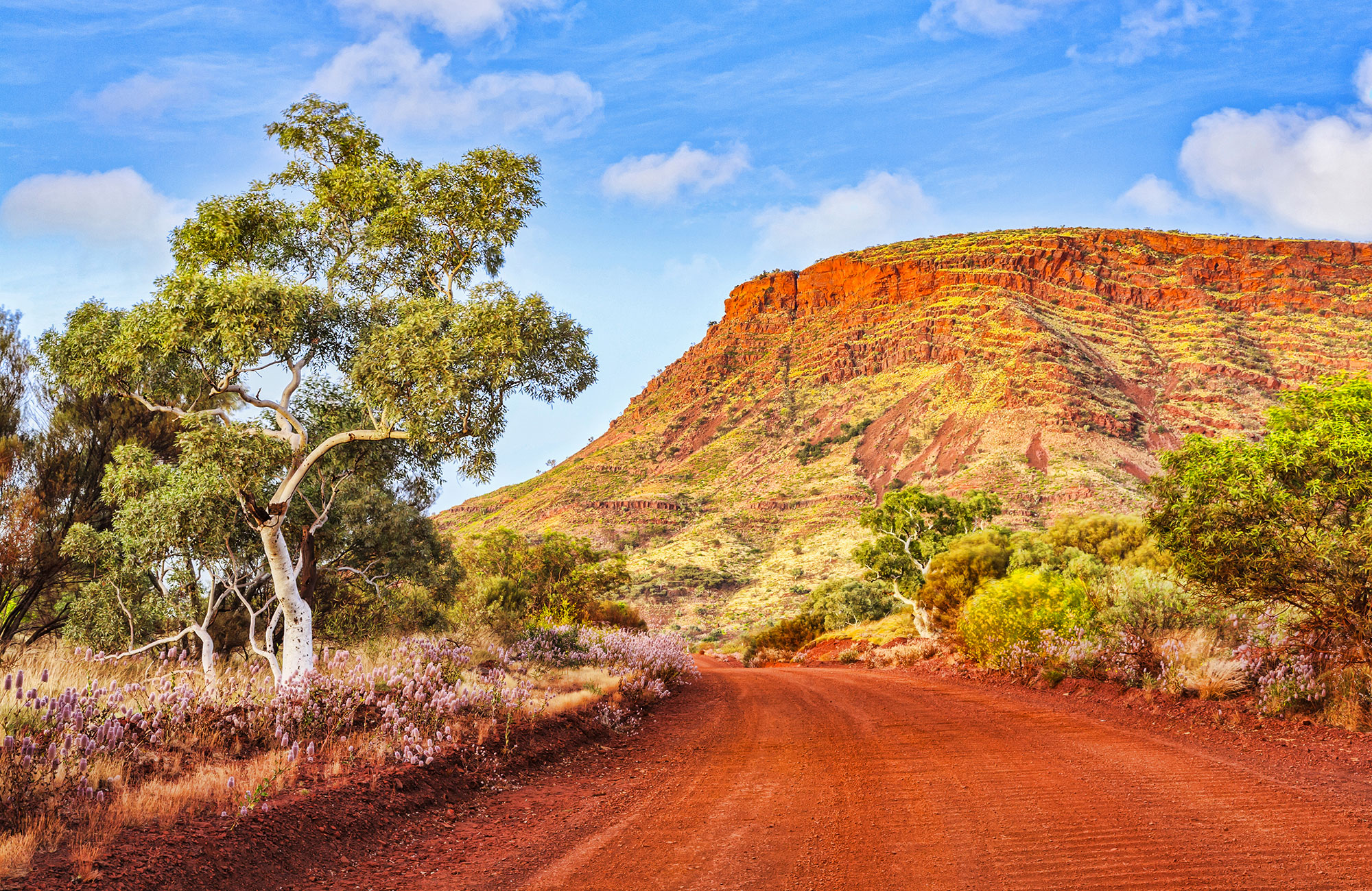 Chubby autocamper fra Travellers Autobarn