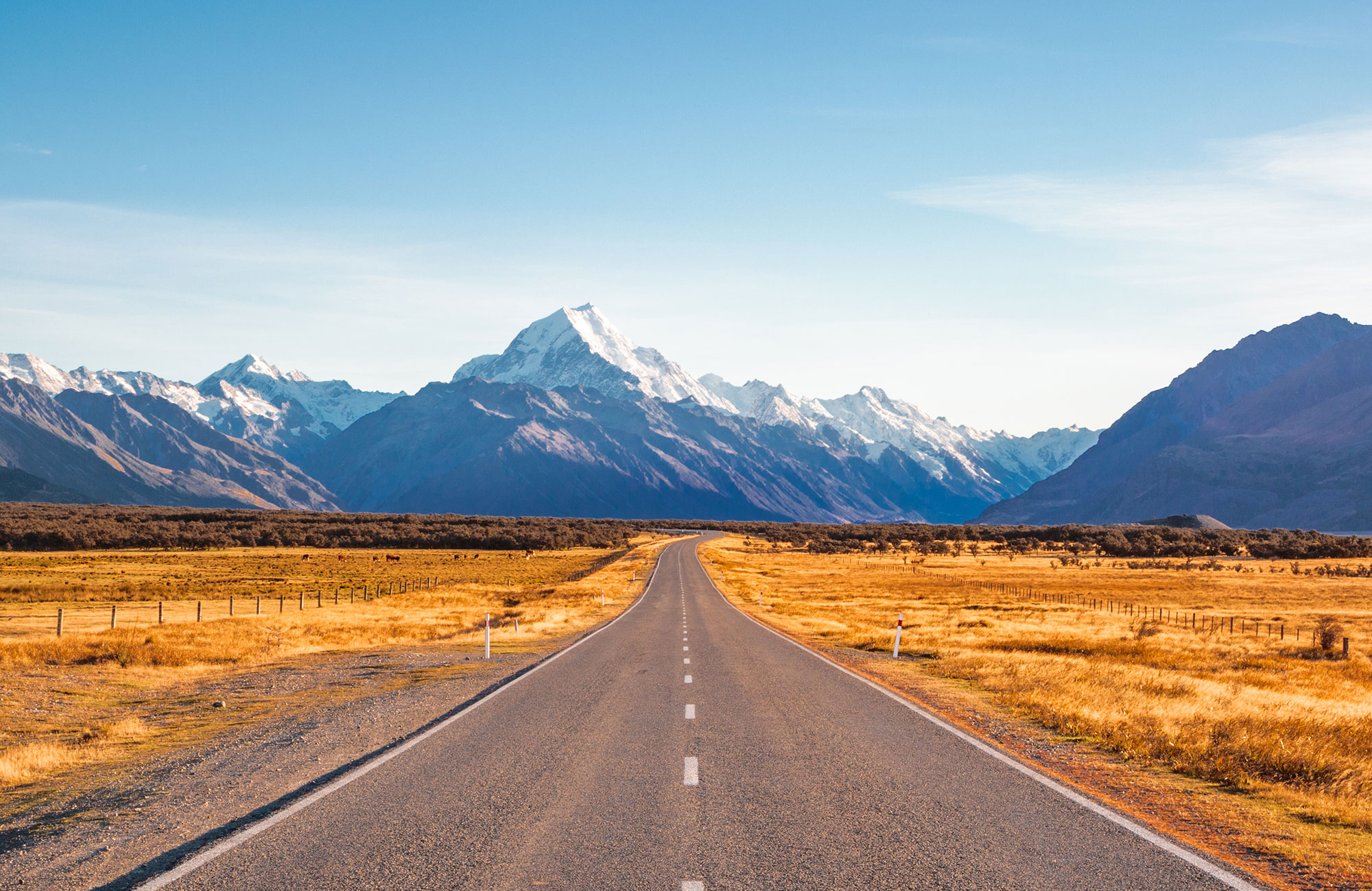 Chubby autocamper fra Travellers Autobarn i New Zealand