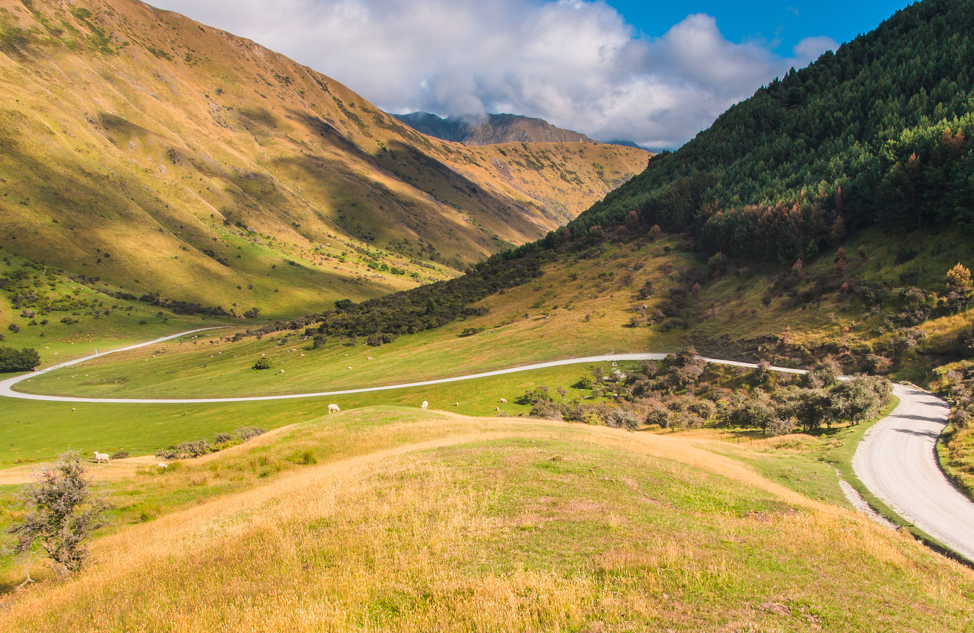 Crib autocamper fra Jucy