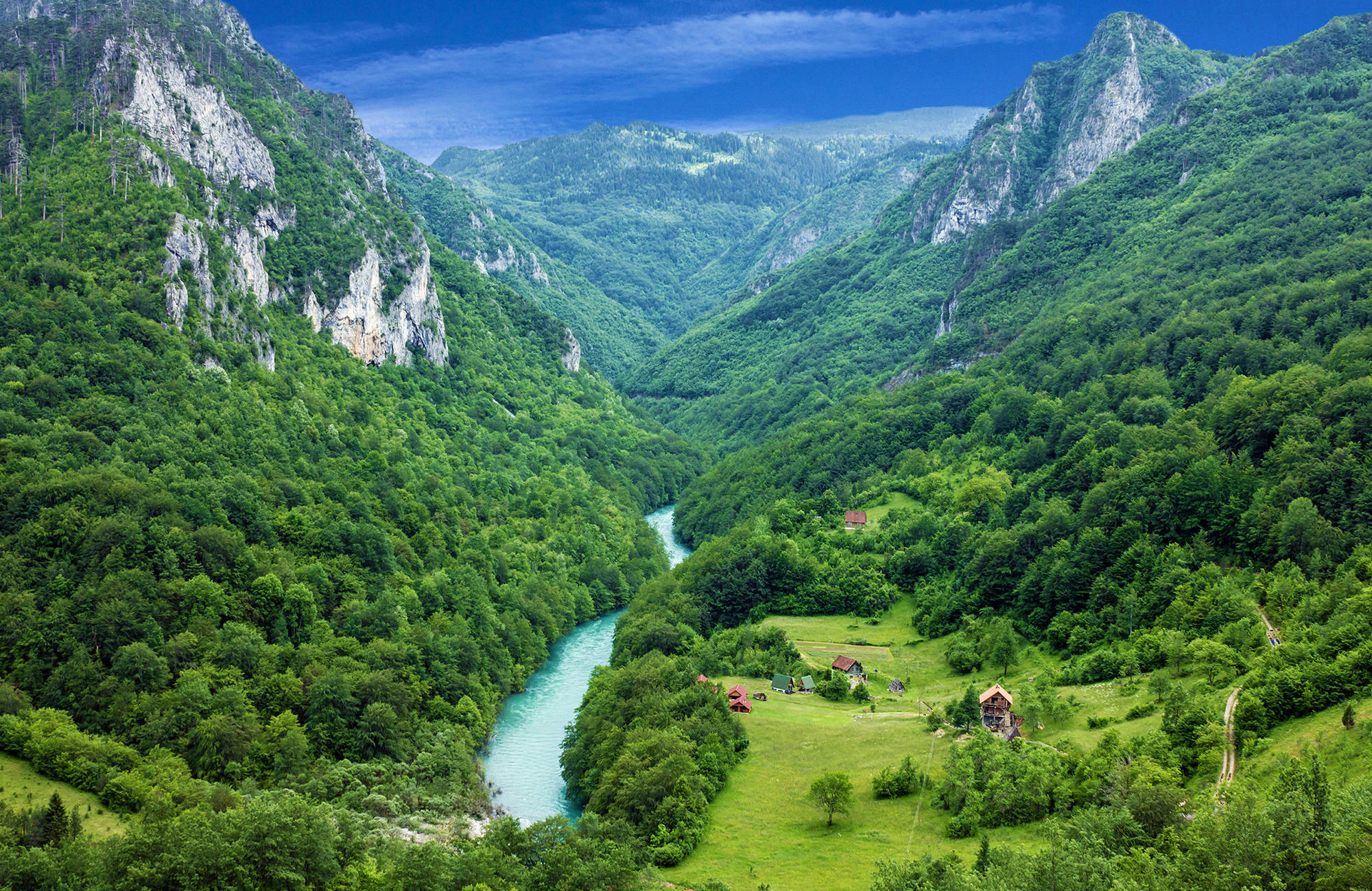 River Tara i Montenegro med de grønne omgivelser