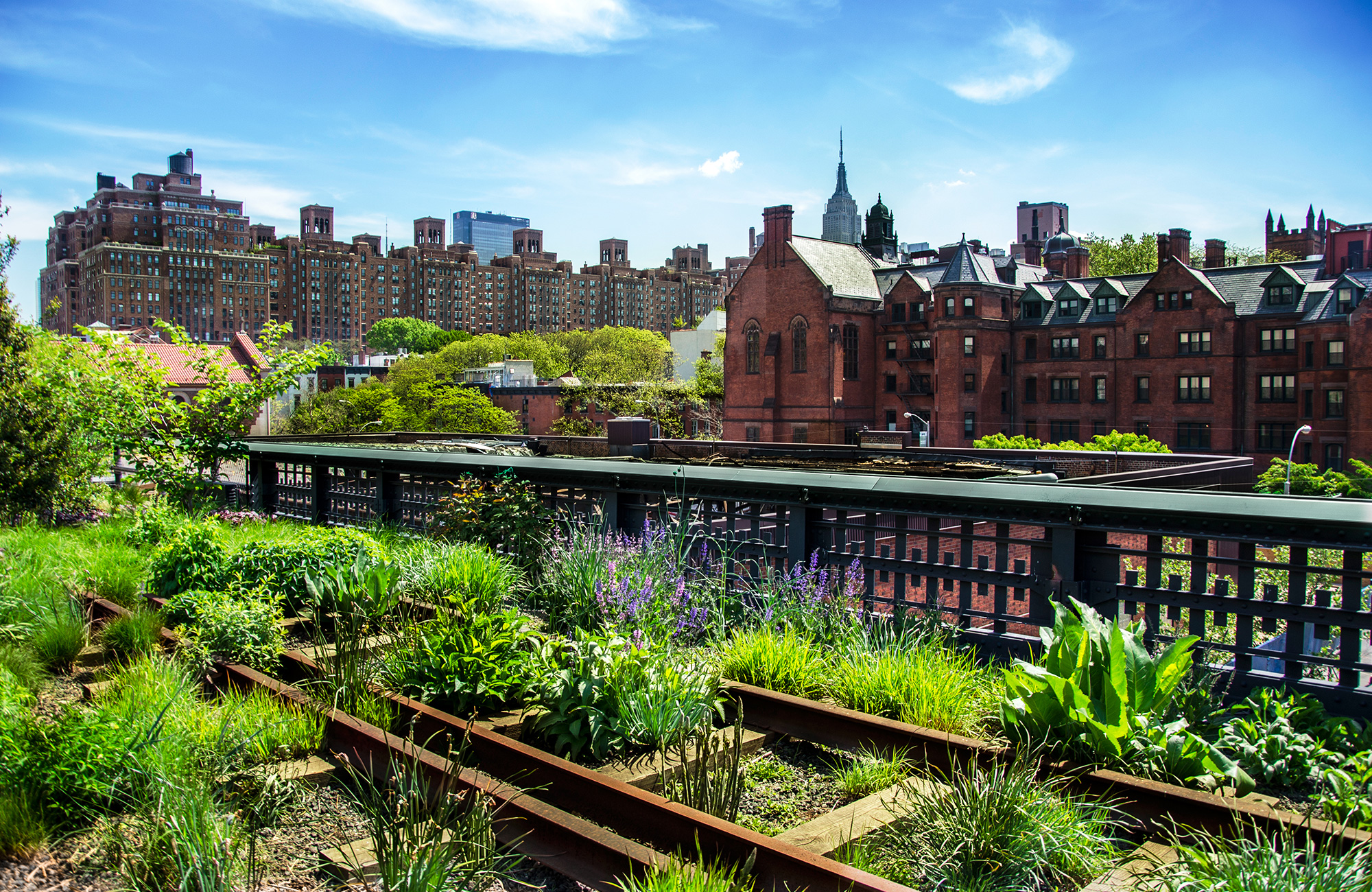 besøg high line park på jeres studietur til New York