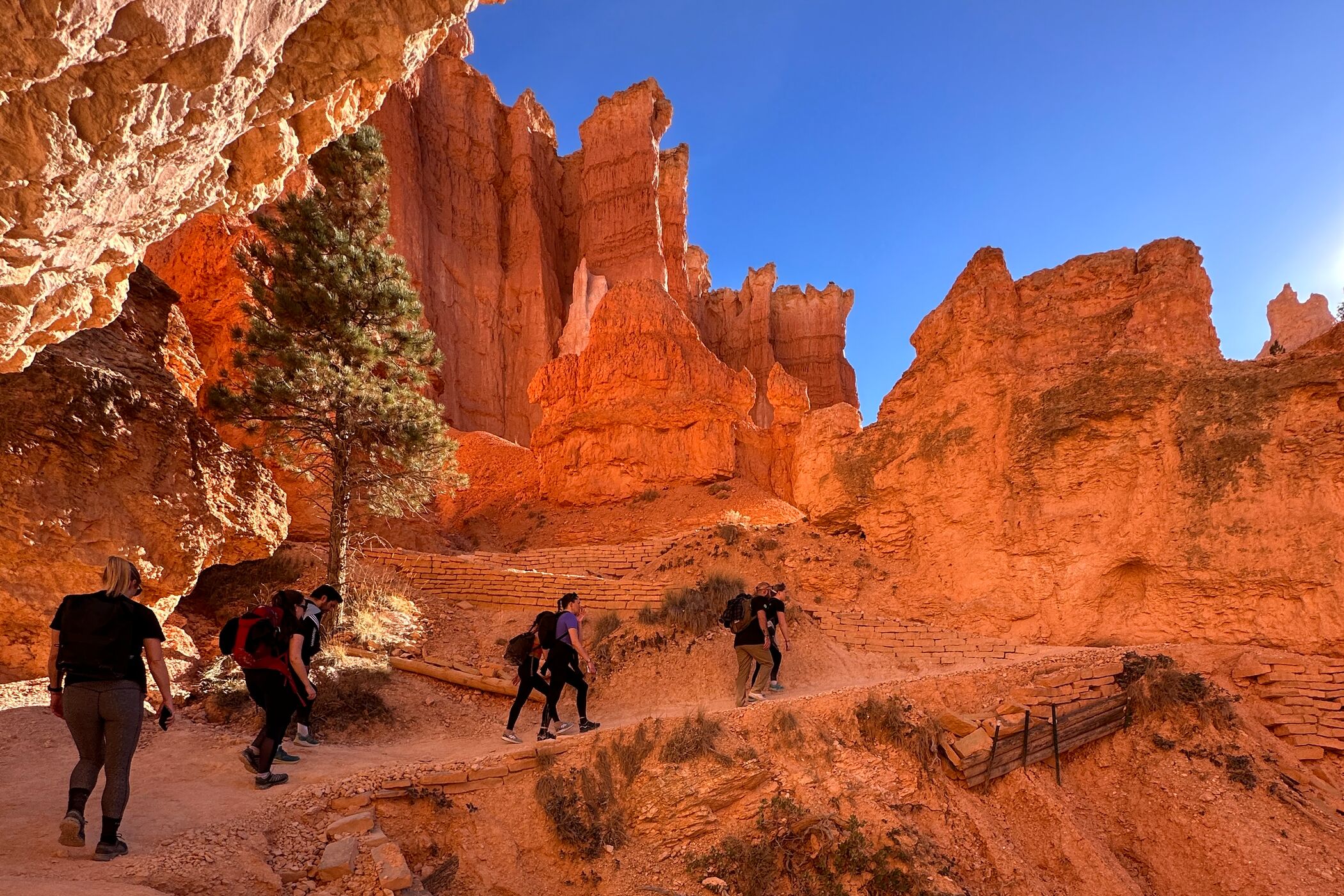 Web Horizontal IMG 8527