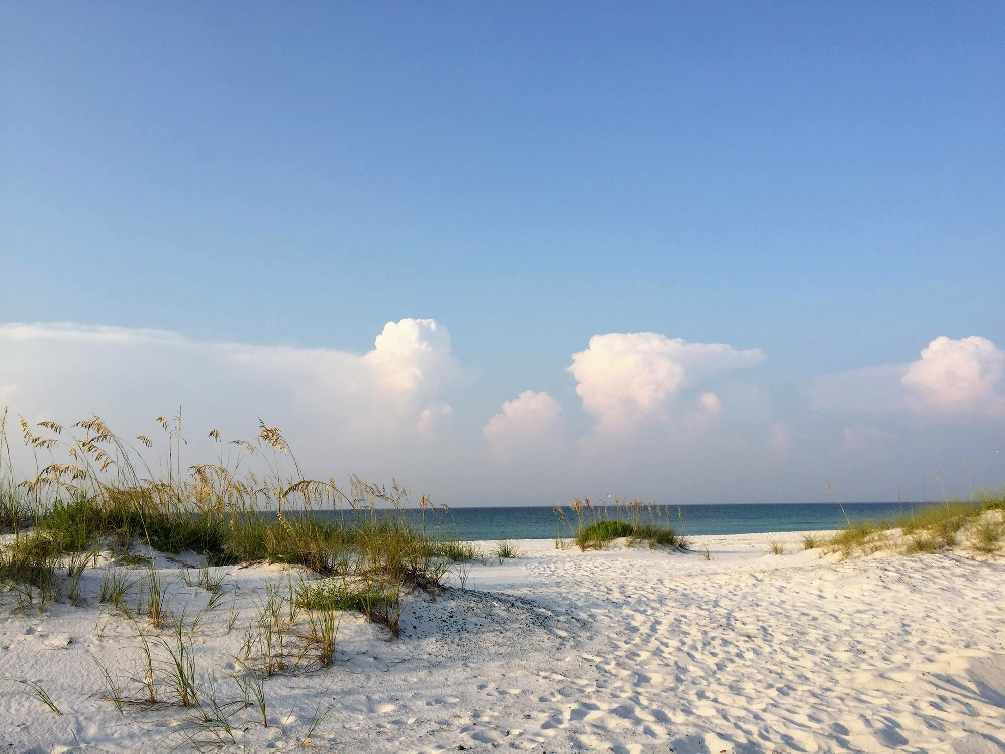 ung fyr studerer i udlandet og kigger ud på verden med en backpack på ryggen