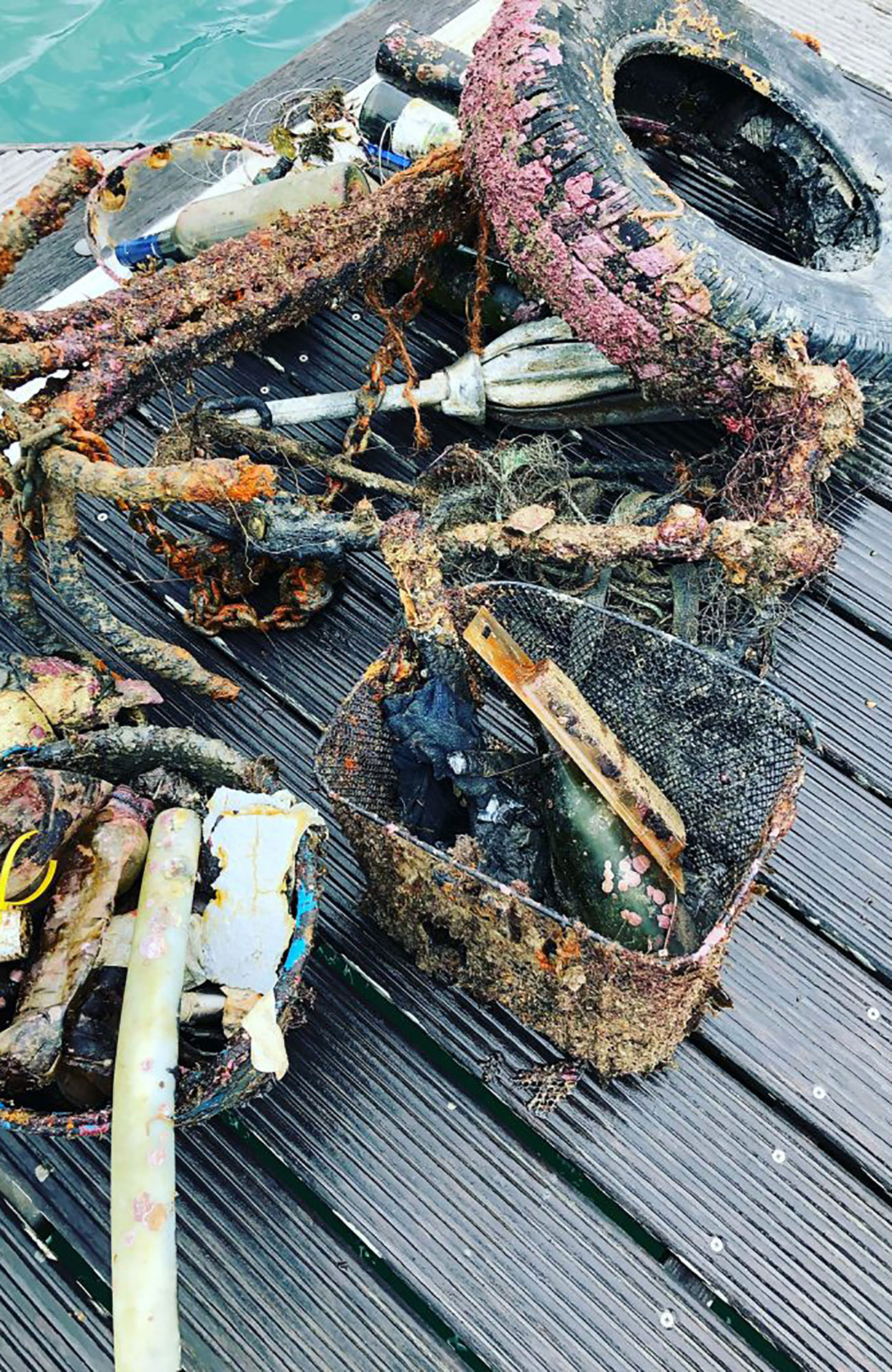 Marinekonservering i Portugal