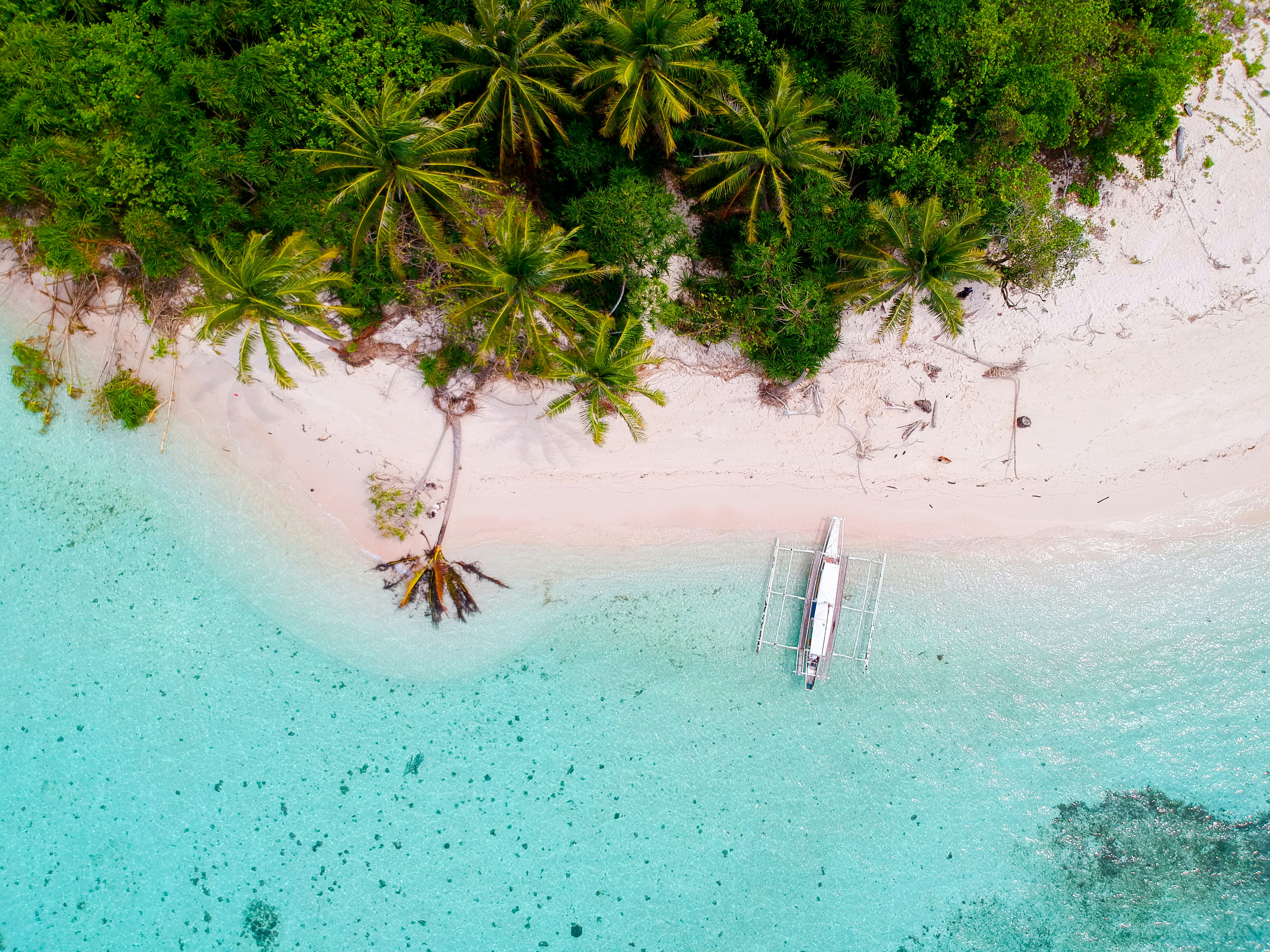 Dronebillede af en hvid sandstrand i Palawan. På stranden er der palmer, og havet er klart. 