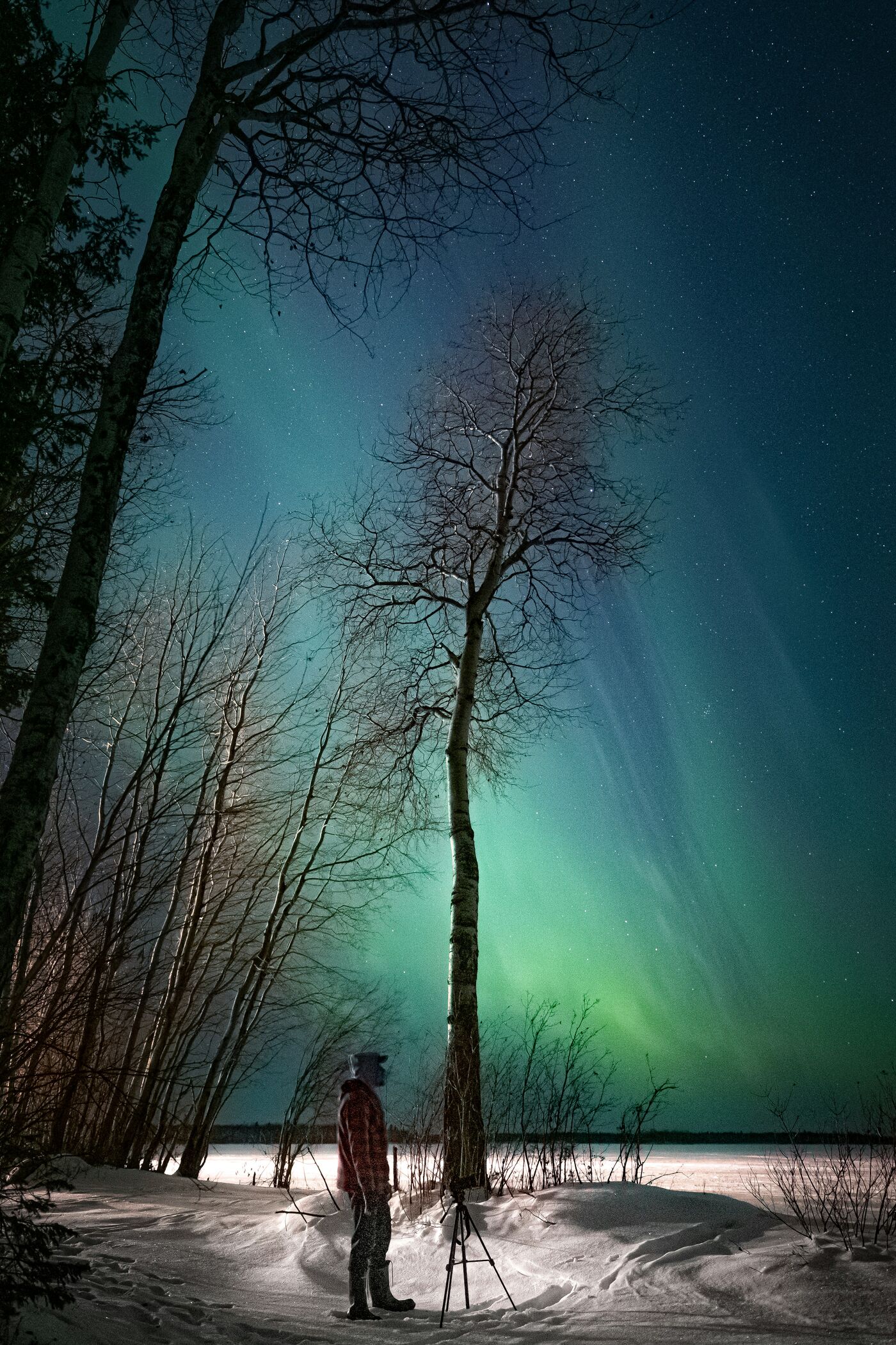 Web Vertical Dre Erwin 61Nujxyq 4E Unsplash