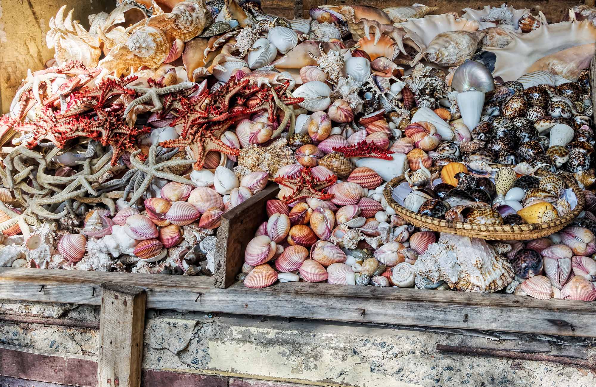 Rejser til Dar Es Salaam | Rejser til Tanzania | KILROY