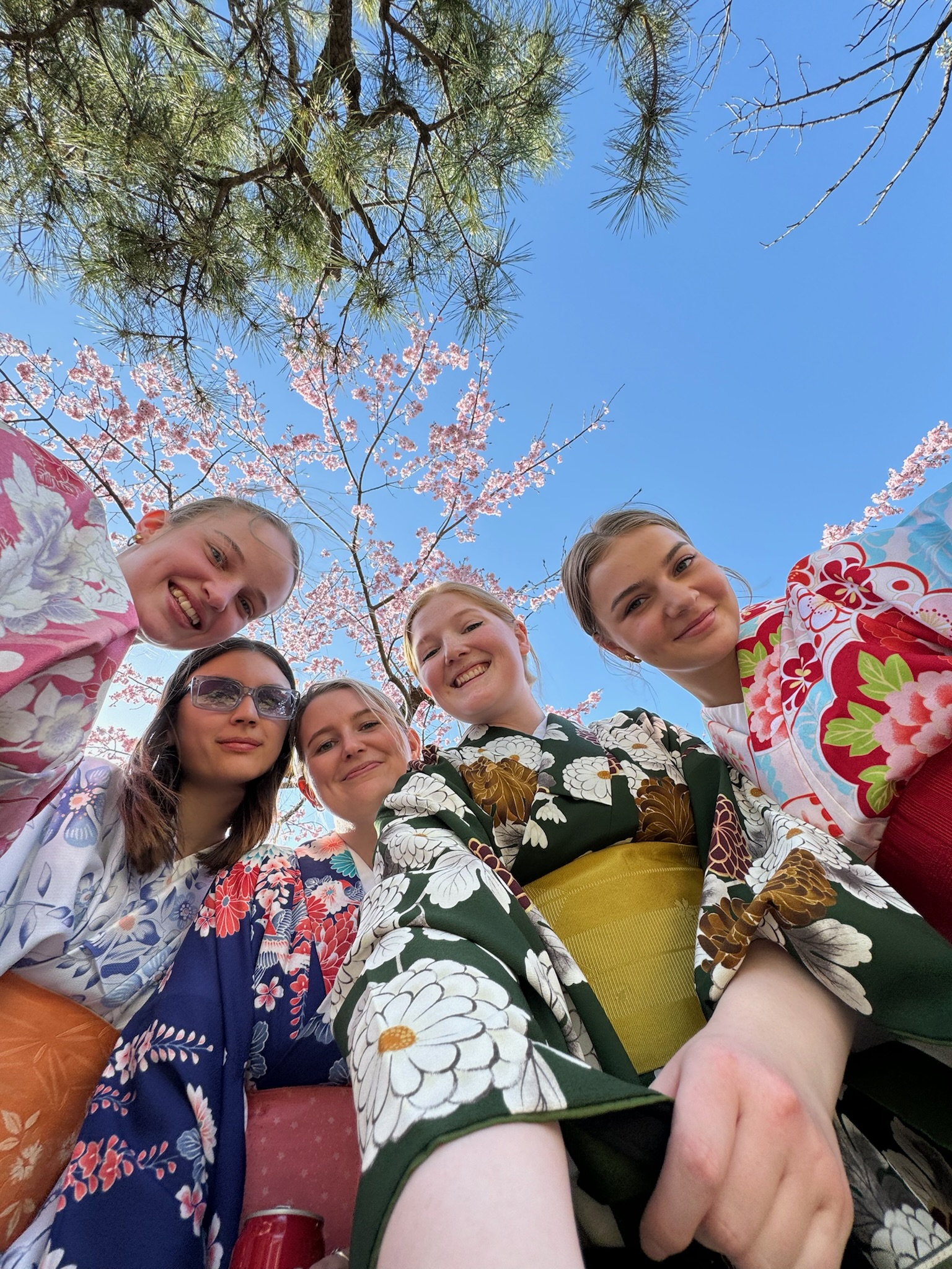 Kyoto Kimono Group Tour