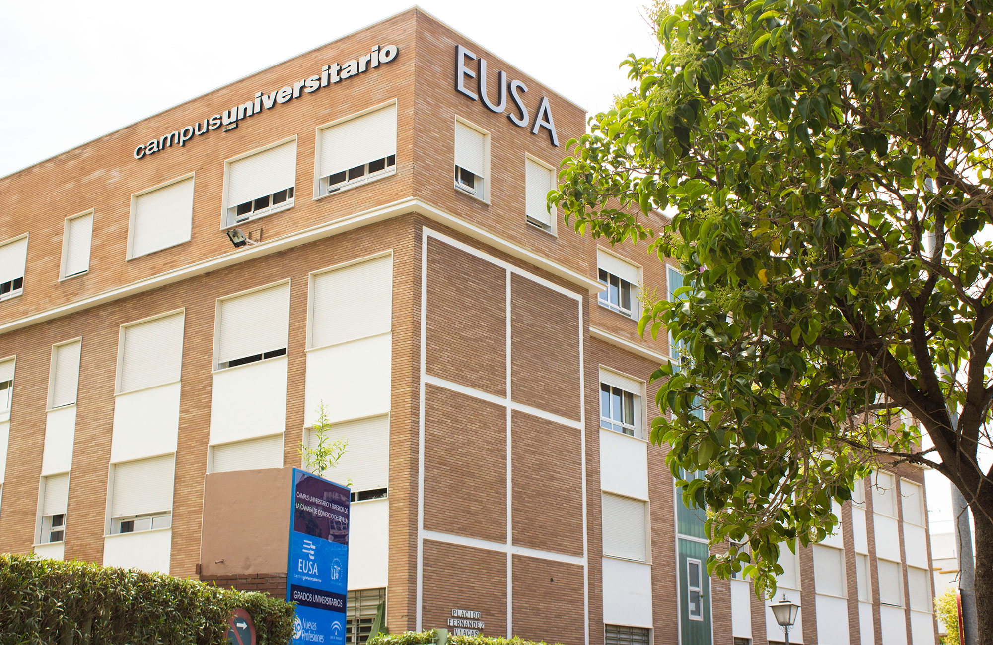 Studér på University of Seville (EUSA)