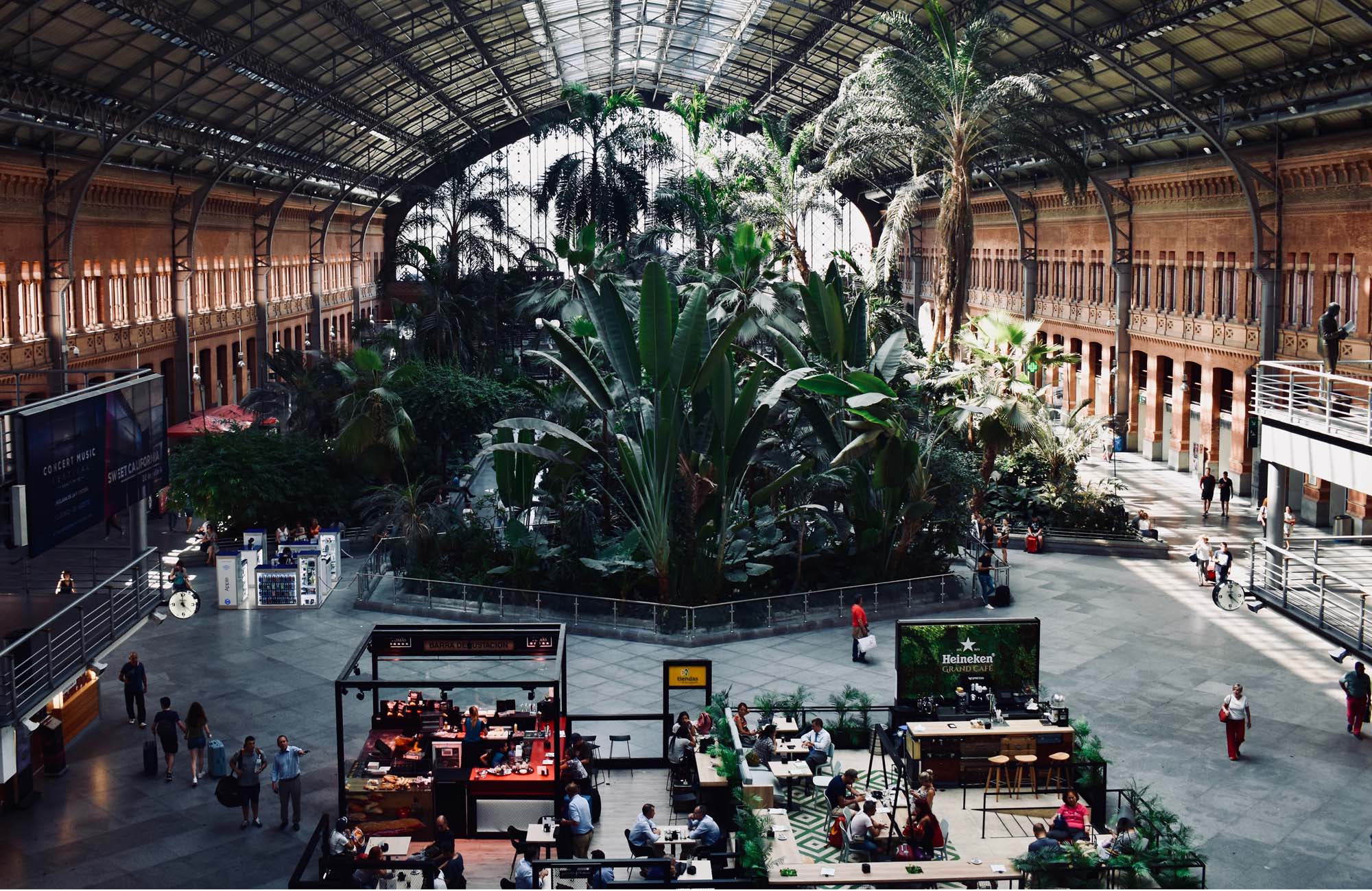 tag på madmarked på studierejsen til Madrid