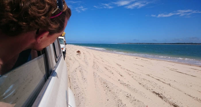 Fraser Island |  | Road trip Australien | Road trip på østkysten | KILROY