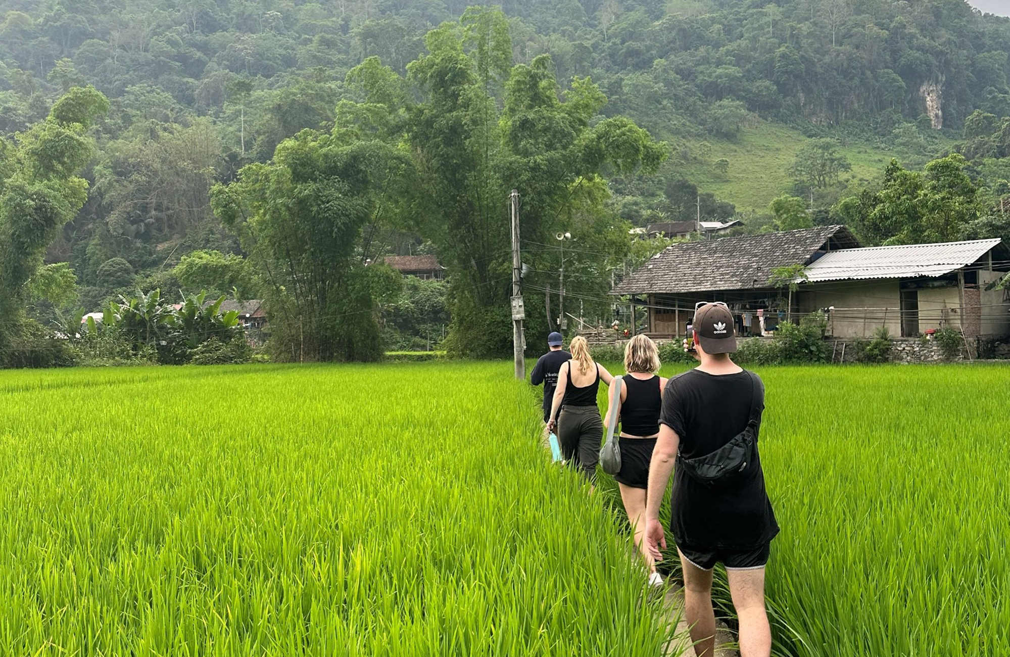 Udforsk det nordlige Vietnam