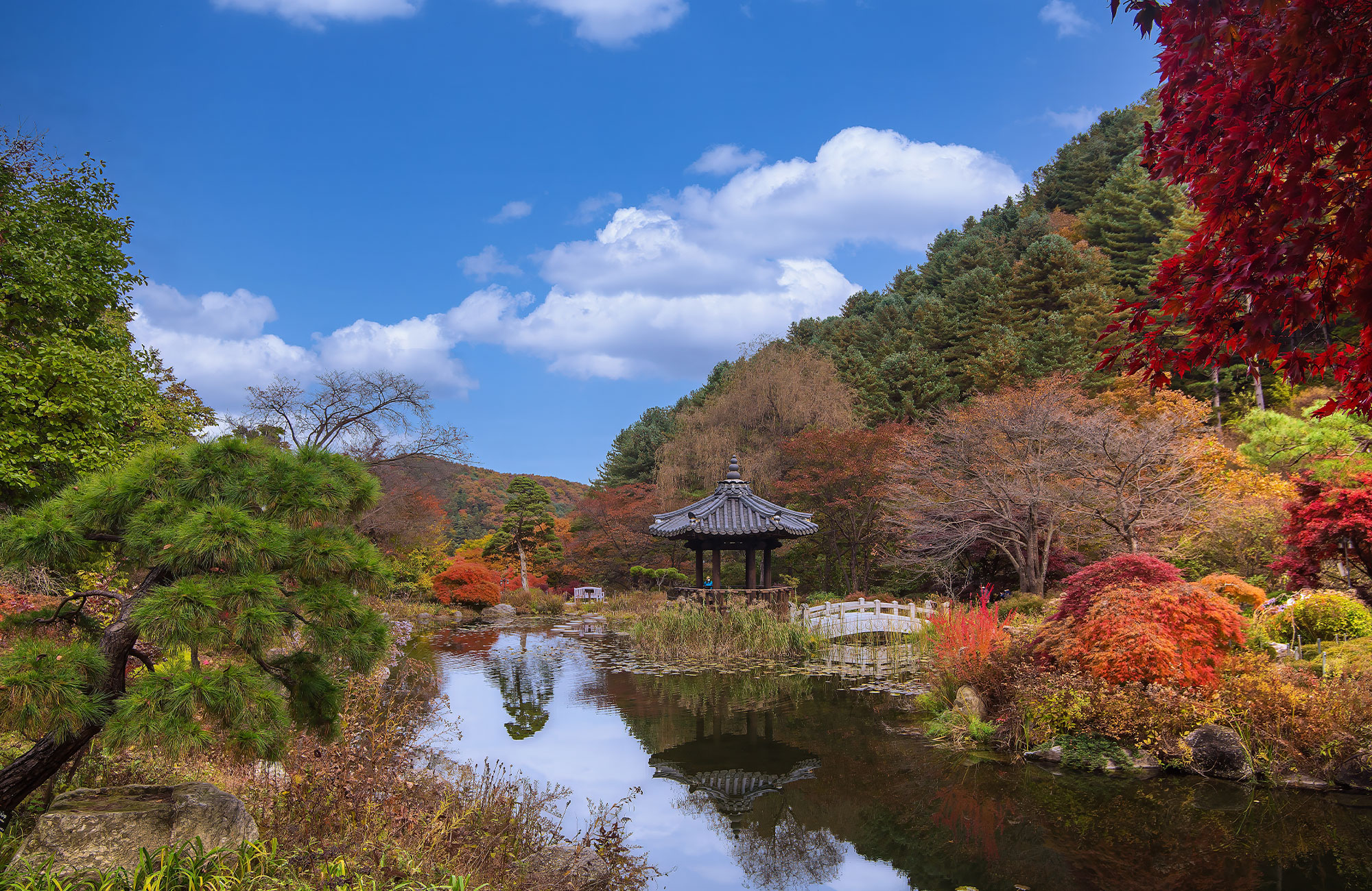 En lille pavillon omgivet af rødlige træer og buske