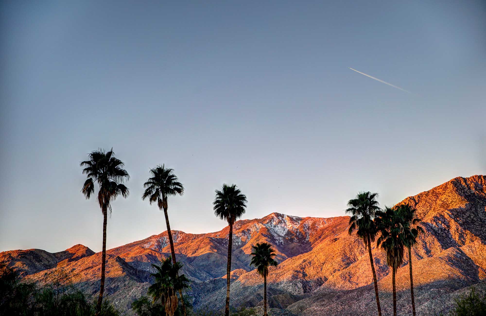 Palm Springs