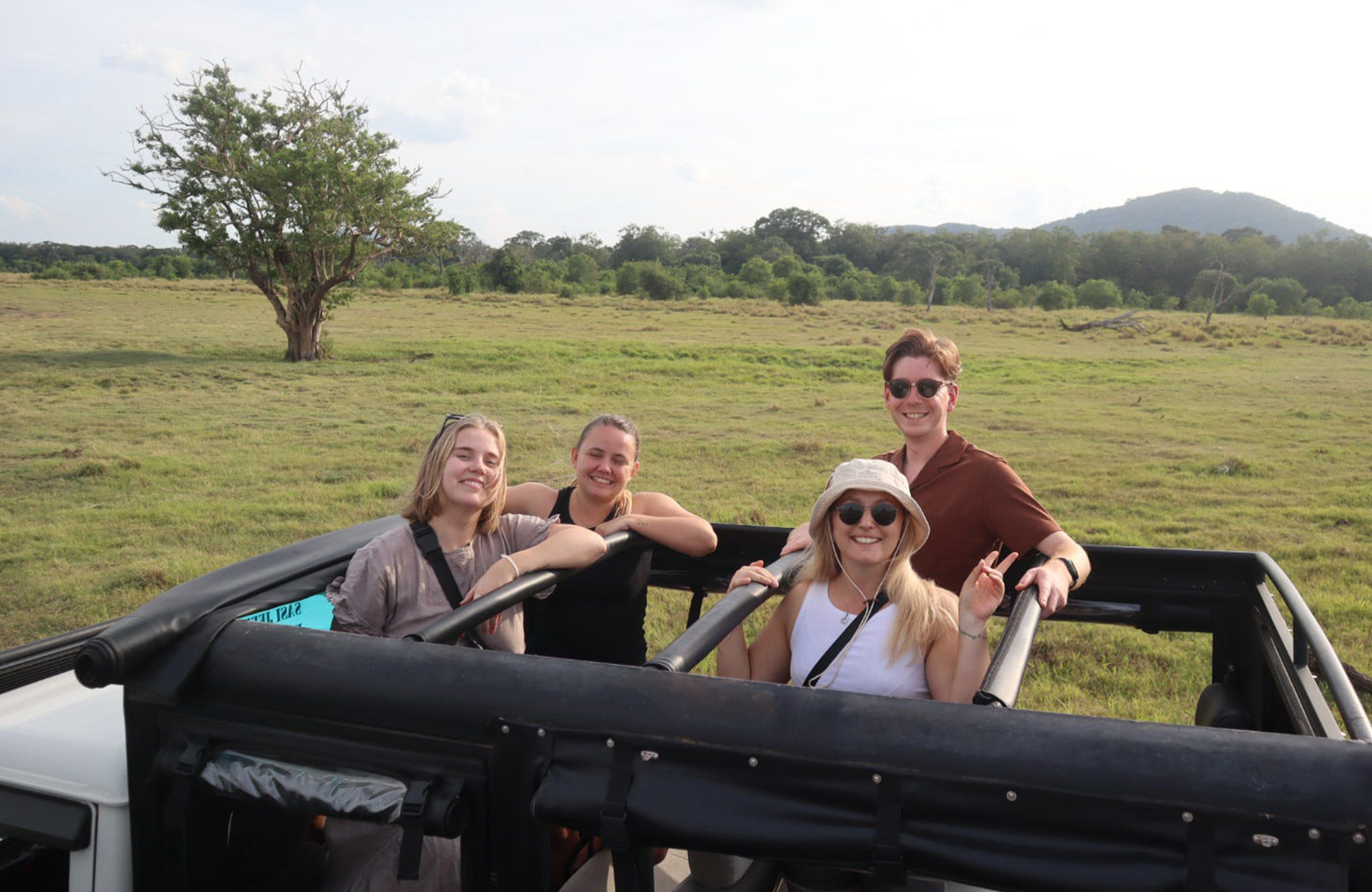 Safari