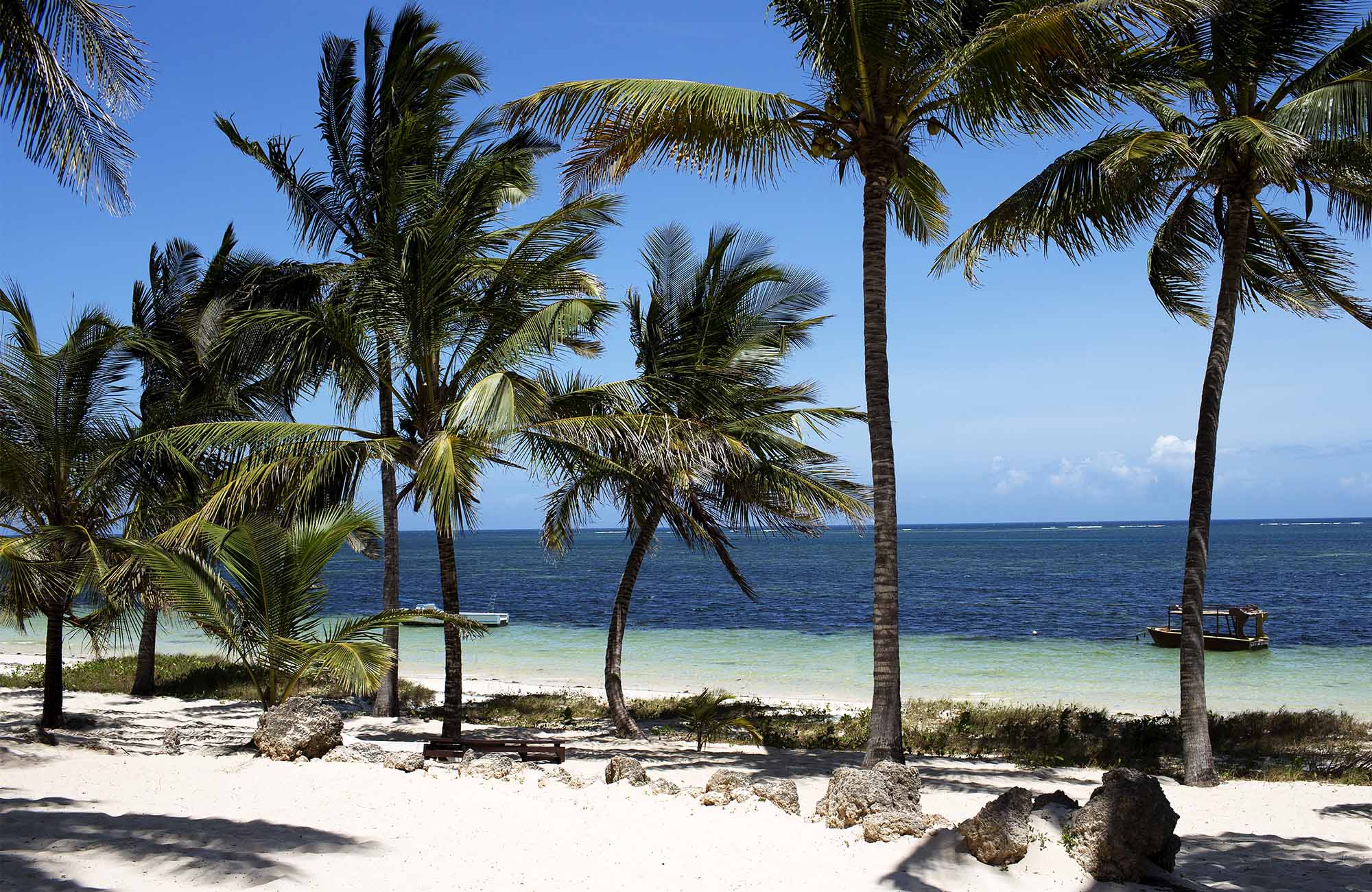 Rejser til Mombasa | Backpacking i Afrika | KILROY