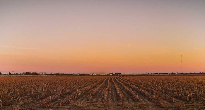 Usa Texas Amarillo Sunset Over Fields