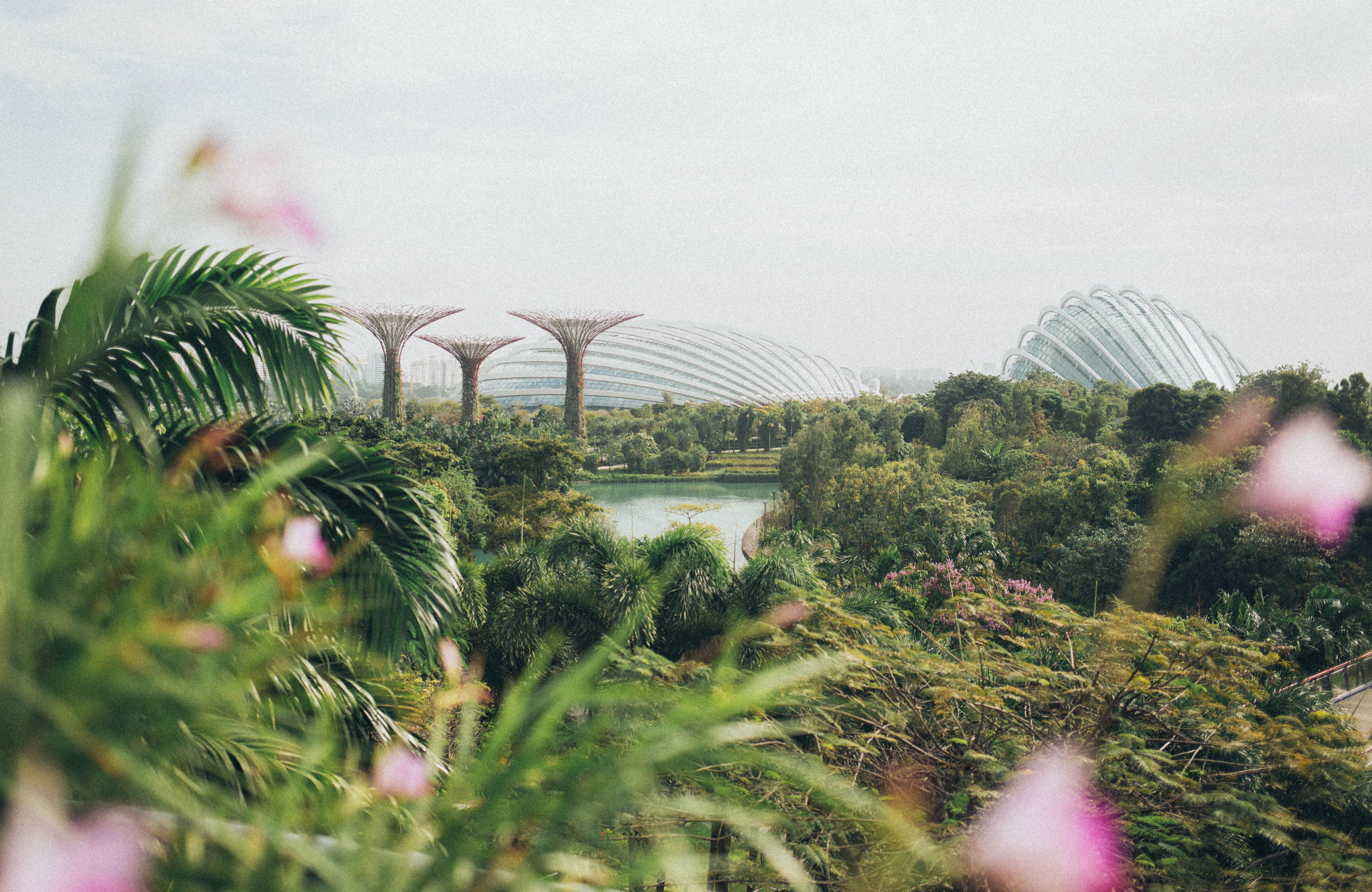 Udsigt over Gardens by the Bay i Singapore