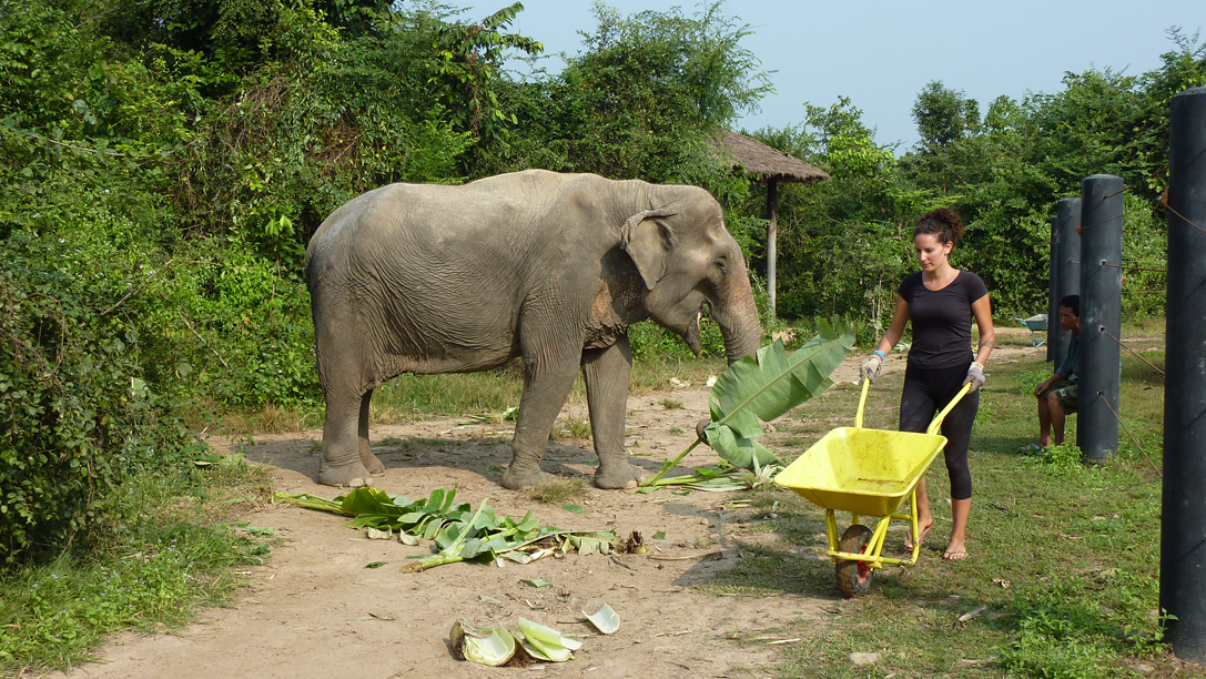 Volunteering In Thailand 6