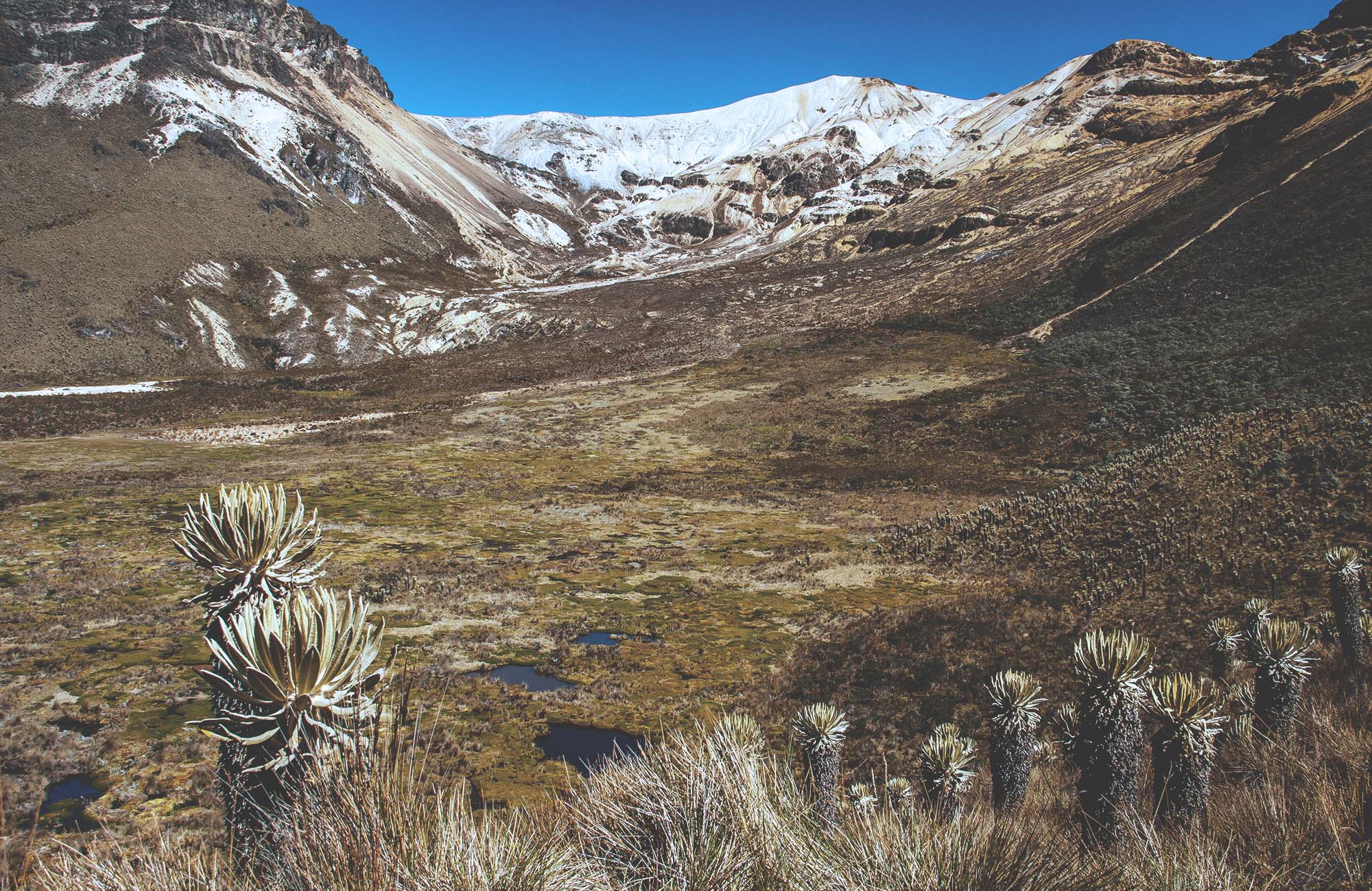 los-nevados-national-park-colombia-volcano-nevado-del-quindio-cover
