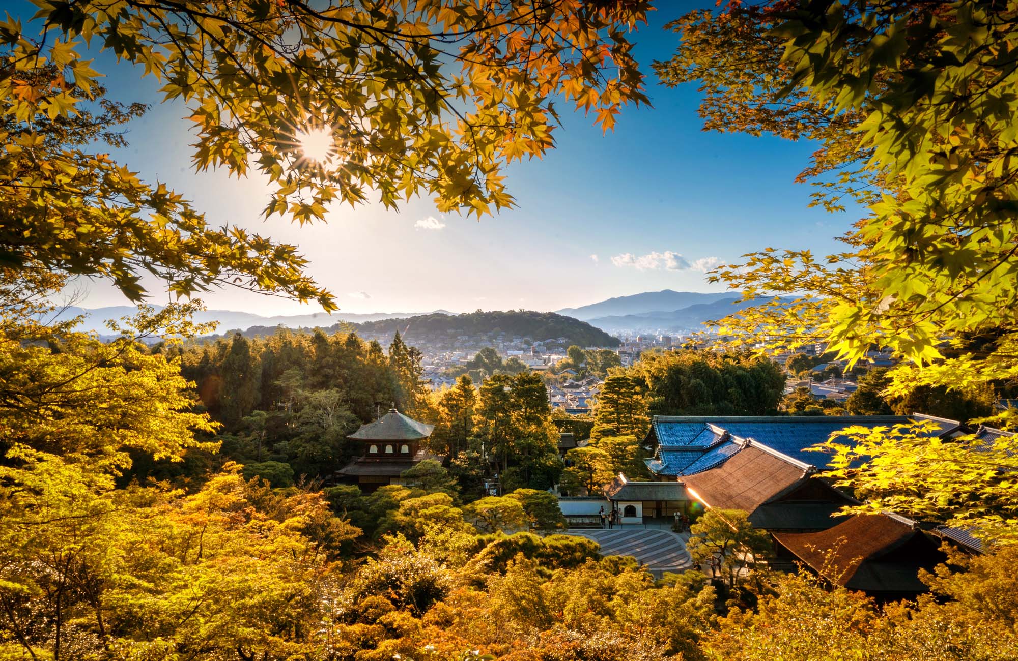 Landskabsbillede af efterårsfarvede blade i Japan. På billedet ses tage af templer. 