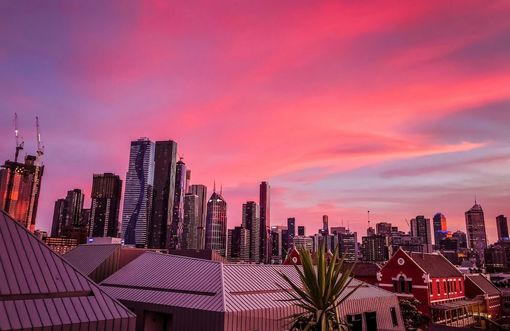 Studér på Deakin University | Studier på Deakin University 