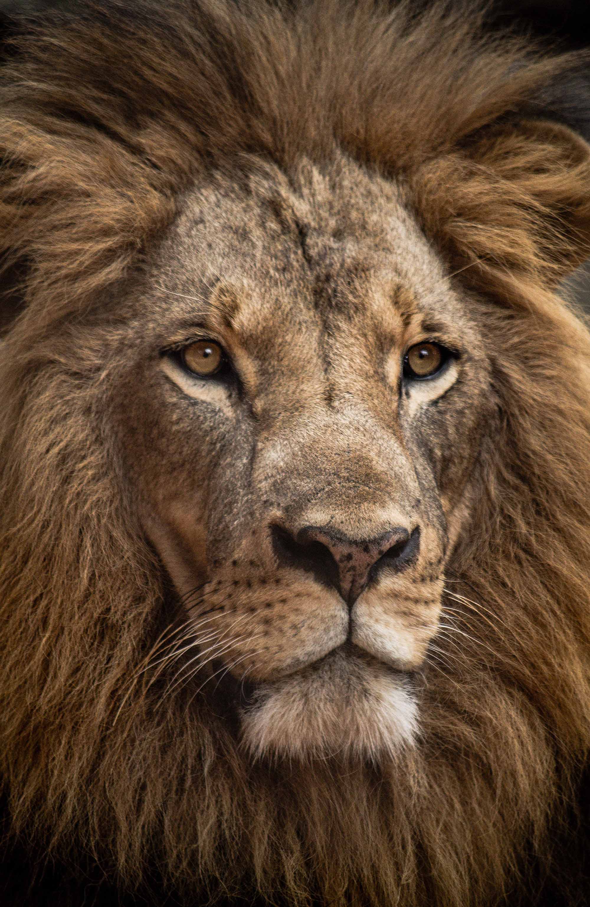 Rejser til Nairobi | Backpacking i Nairobi | KILROY