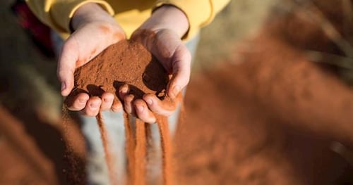 39981-cce394ac-1da8-45c6-a836-3b3850fdfe6f-thumbnail