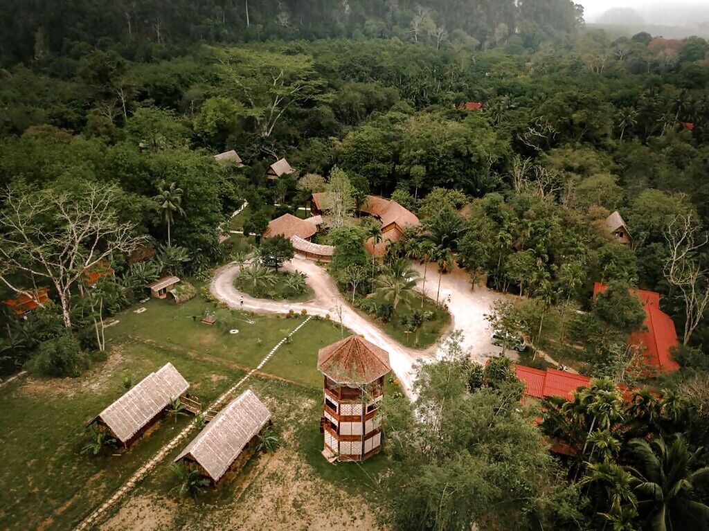 our-jungle-resort_gallery_full