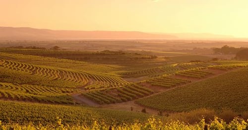 33902-2f328bd4-1bd7-4fe6-aa76-e6def8f60e64-thumbnail